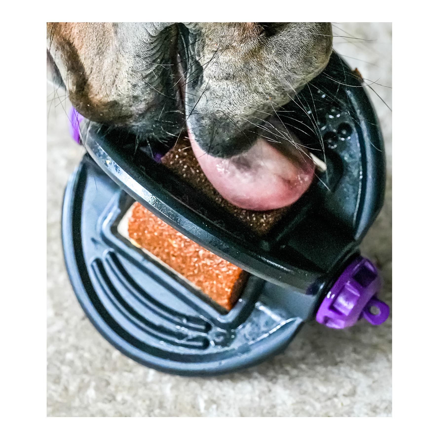 Bizzy Horse Bizzy Ball - pink