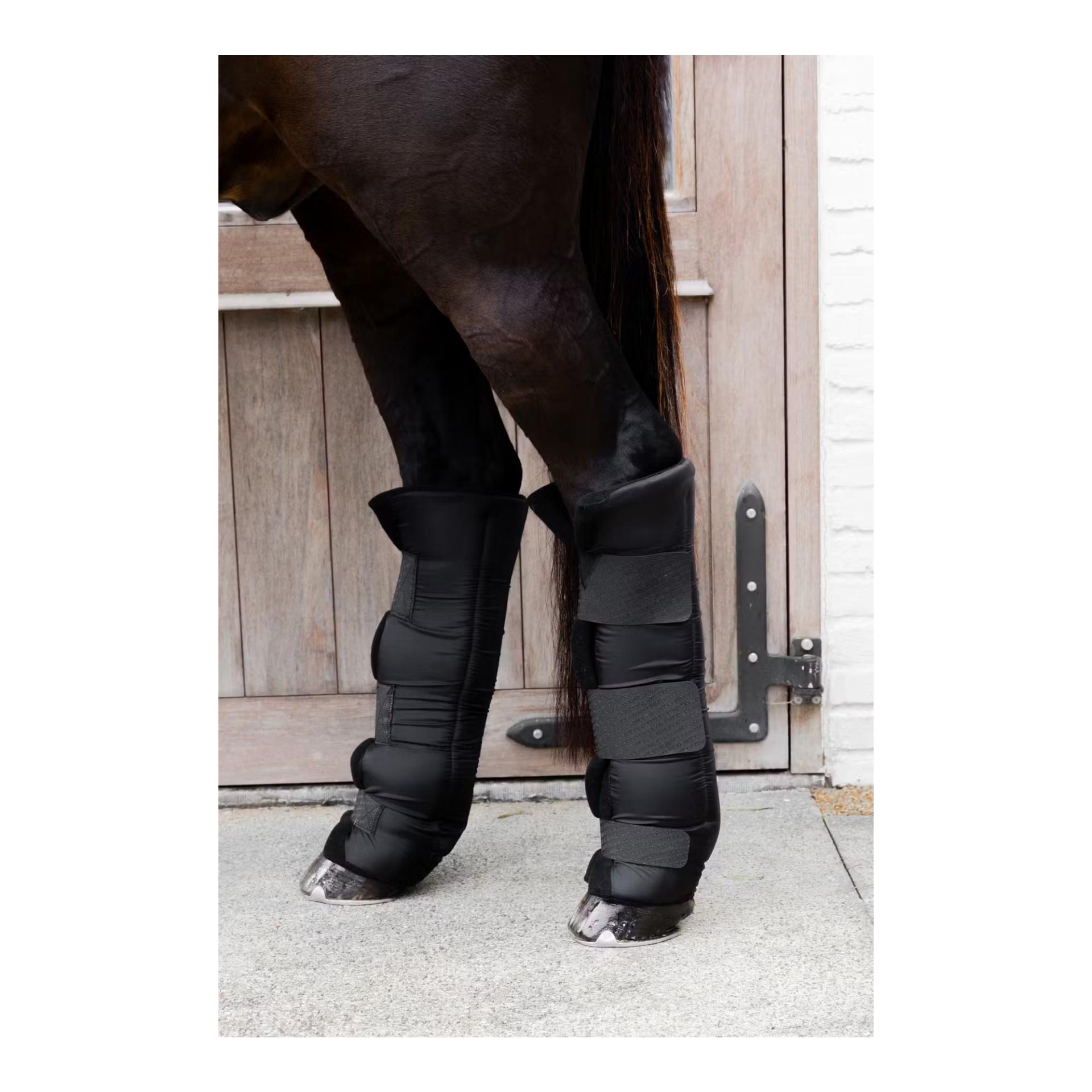 Kentucky Stallgamaschen PROtect lang hinten