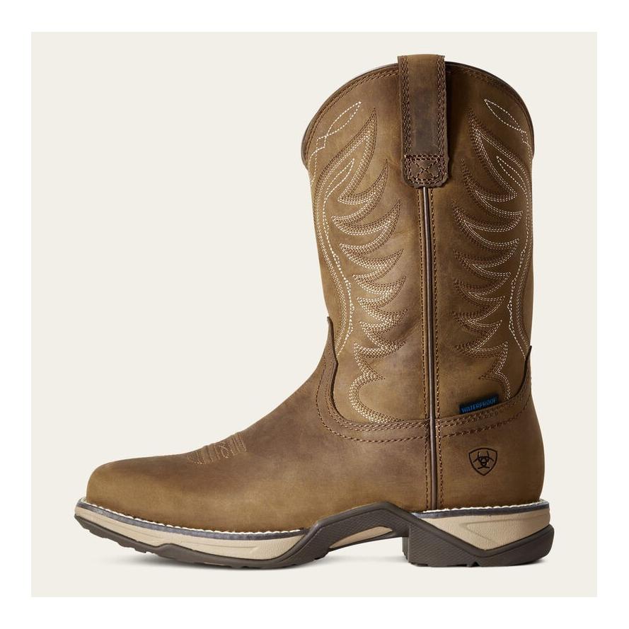 Ariat Westernstiefel Anthem Waterproof Damen