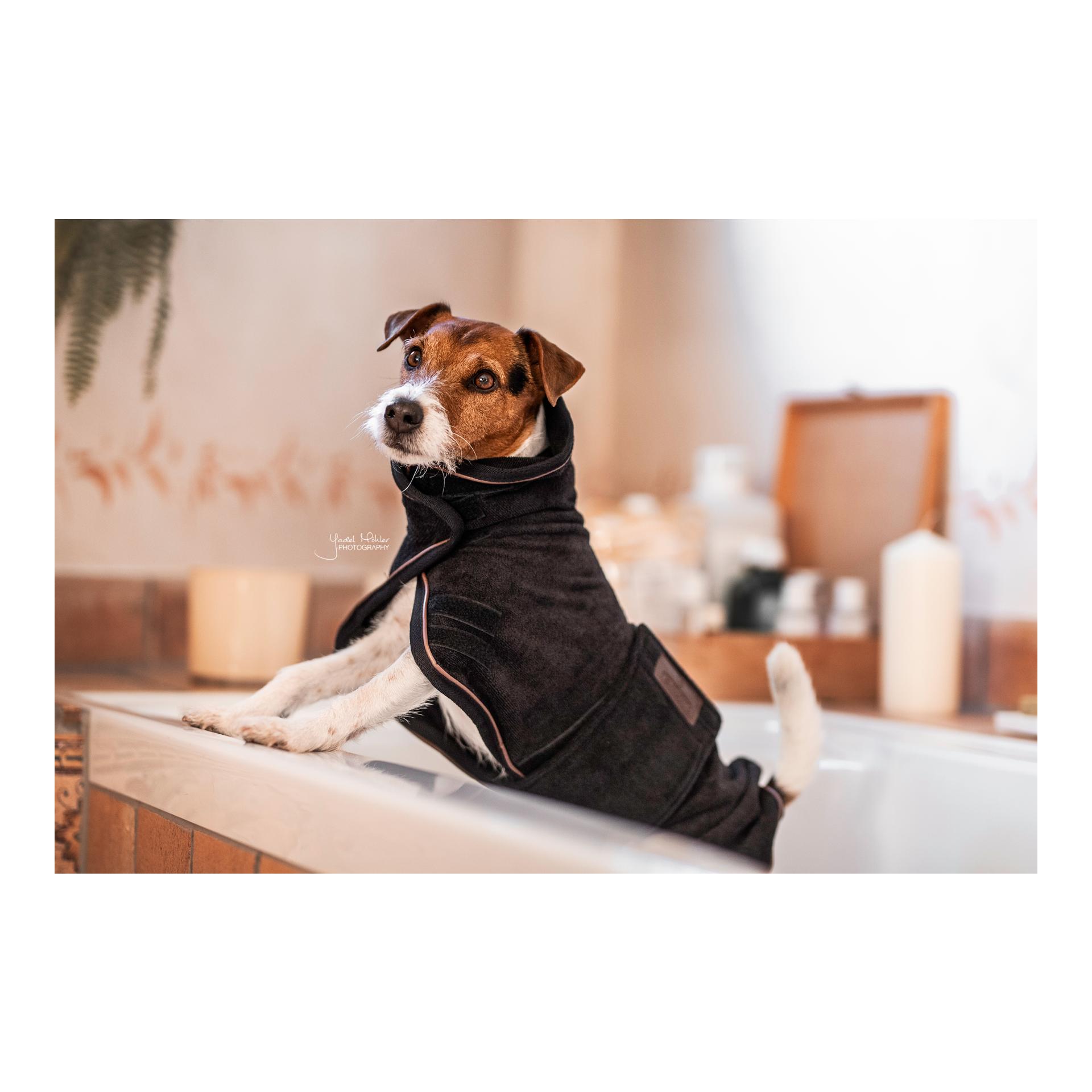 Kentucky Dogwear Manteau pour chien Dog Coat Towel