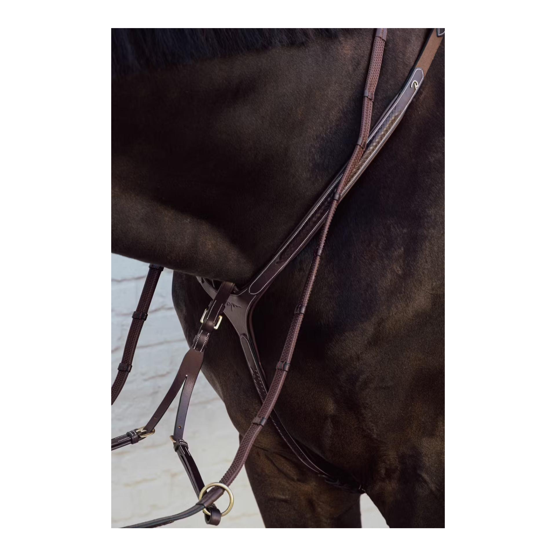Dy'on Plaited Bridge breastplate D