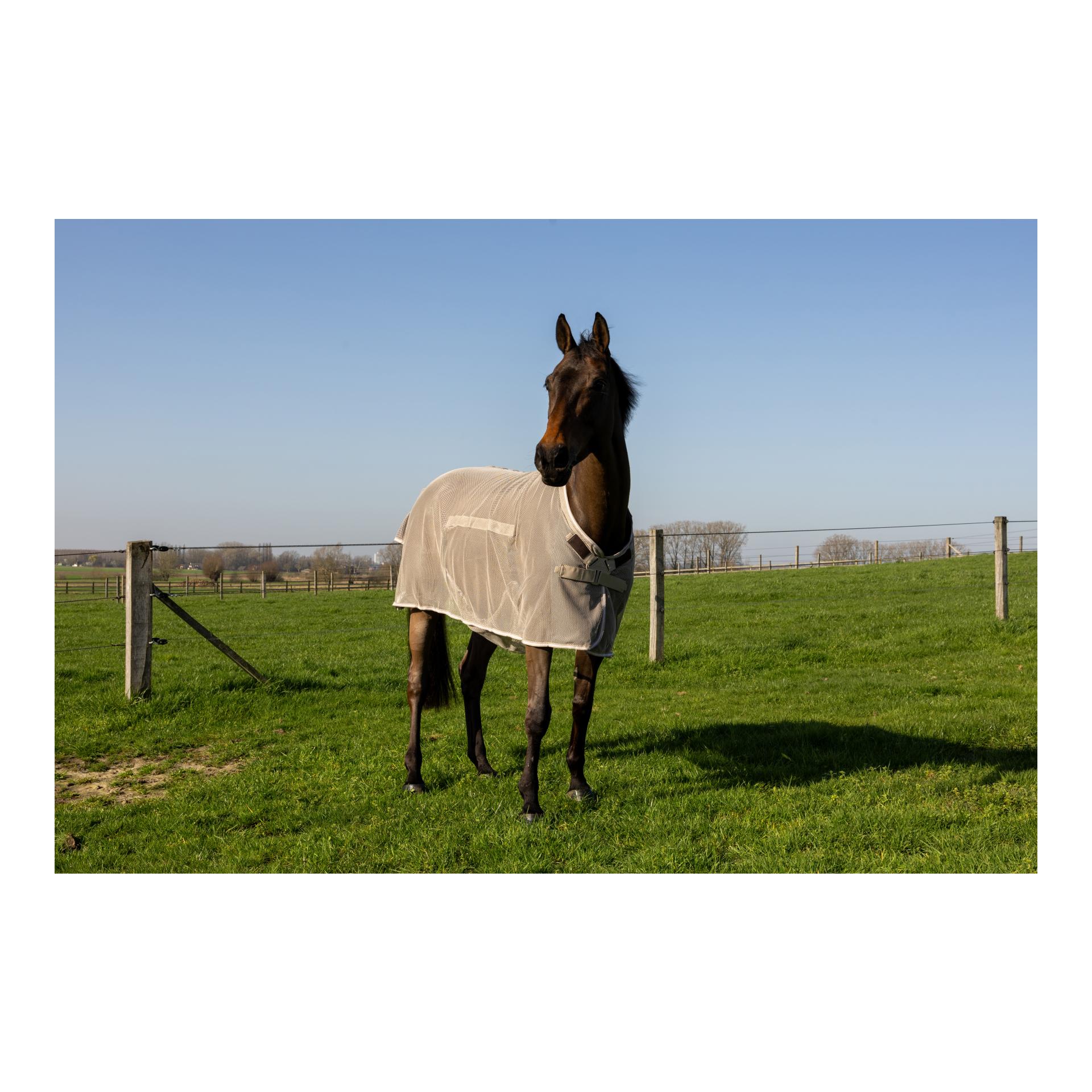 Kentucky Fliegendecke mit Bauchteil Comfort