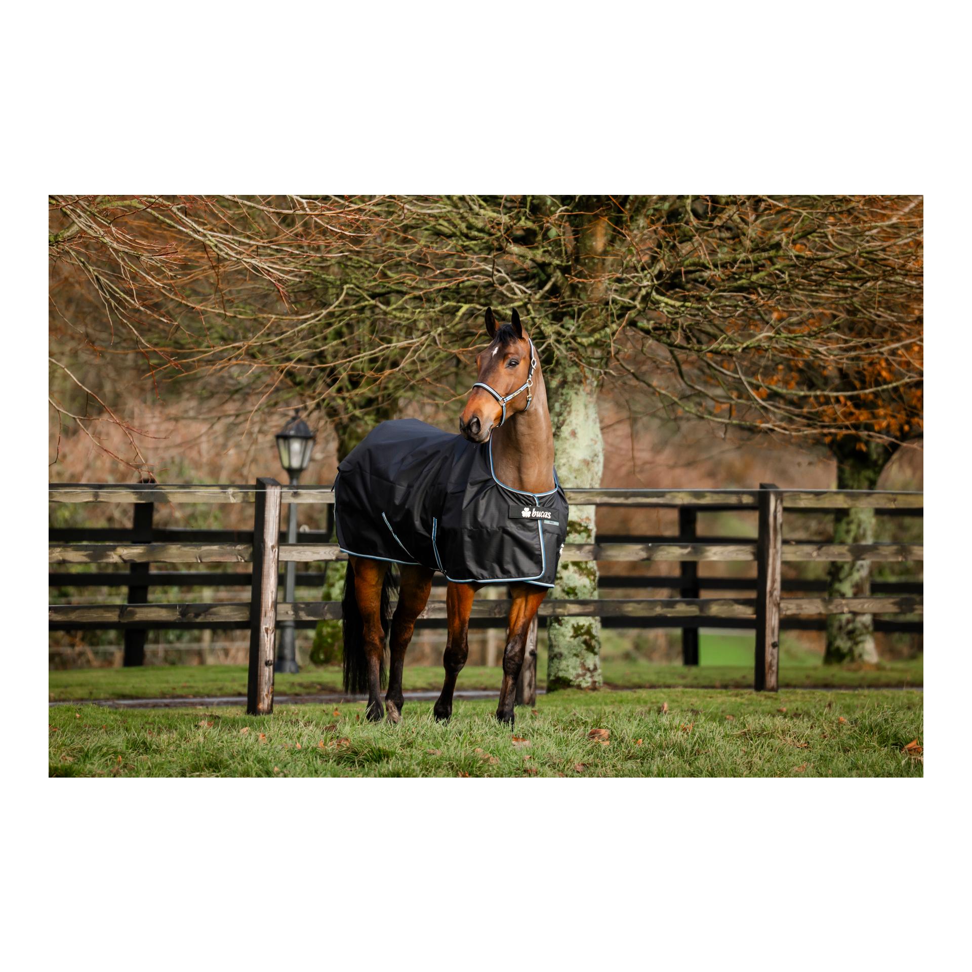 Bucas Couverture de pré Anniversary Turnout Light SD 0g