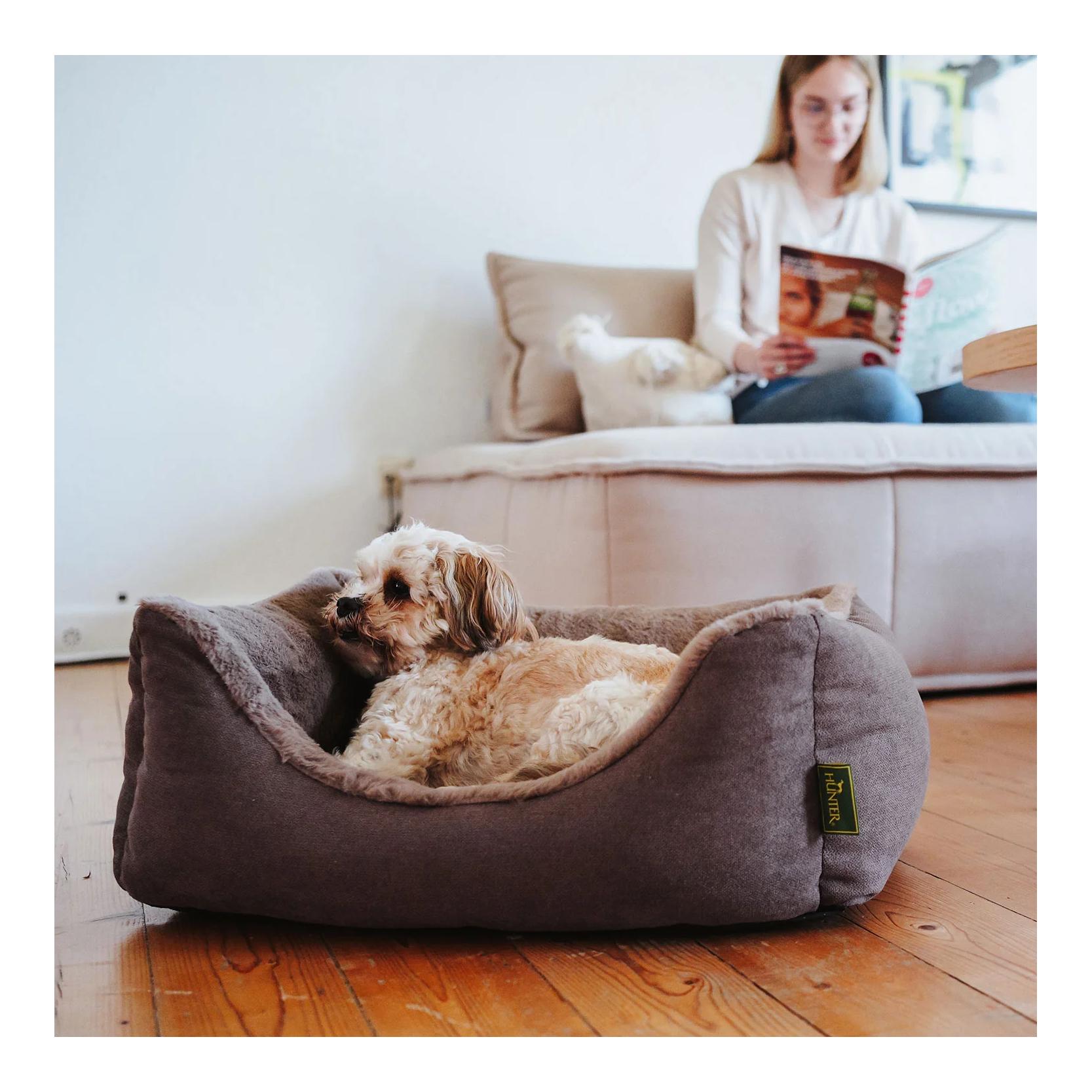 Hunter Lit orthopédique pour chien Rockford