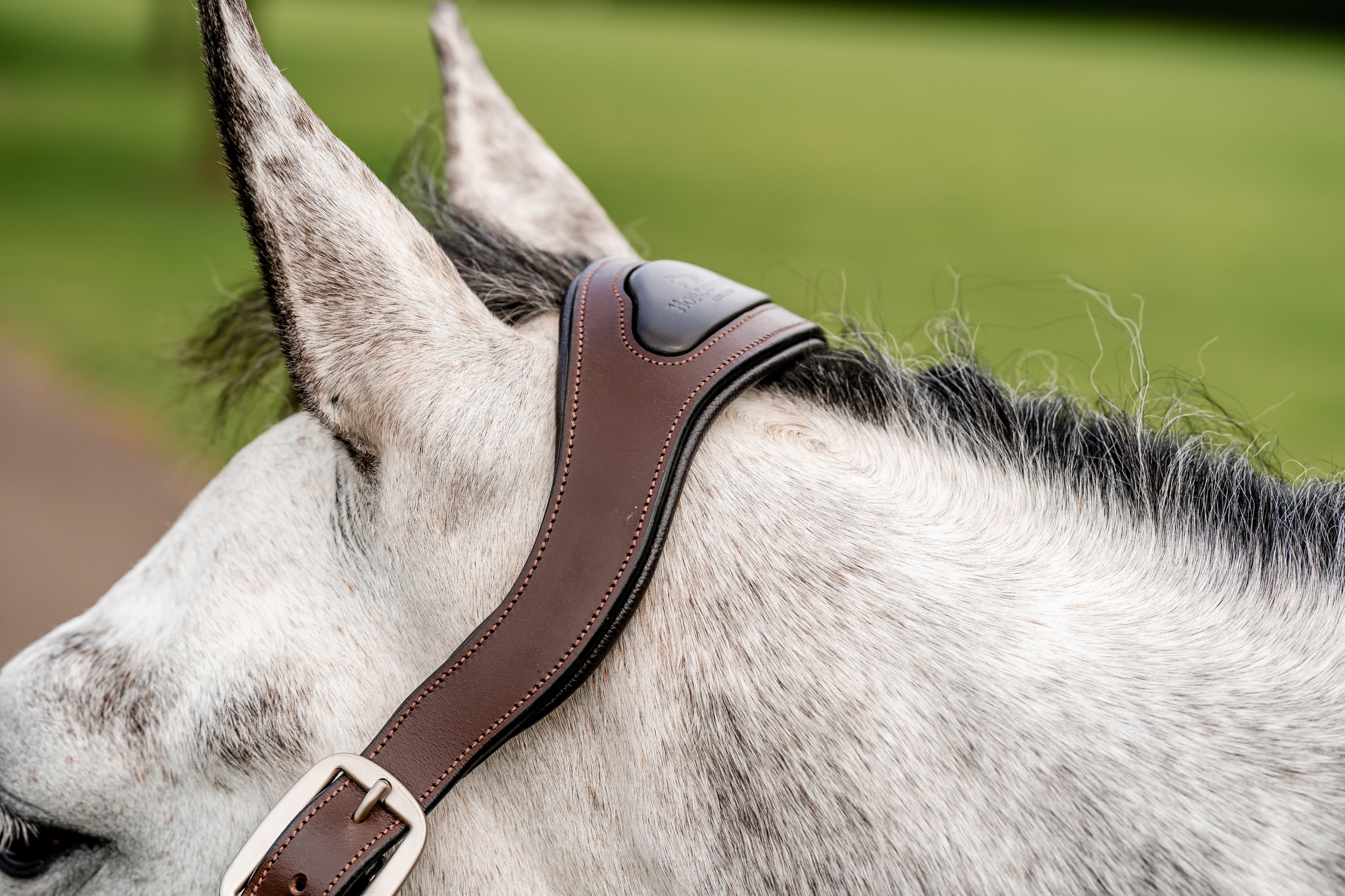 Horseware Halfter Signature Braided