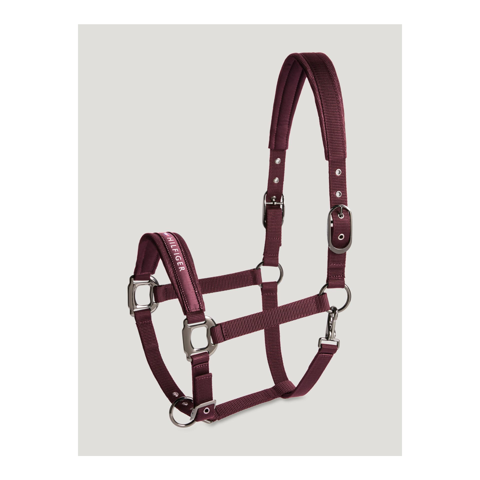 Tommy Hilfiger Equestrian Ensemble licol et longe Yale Shine