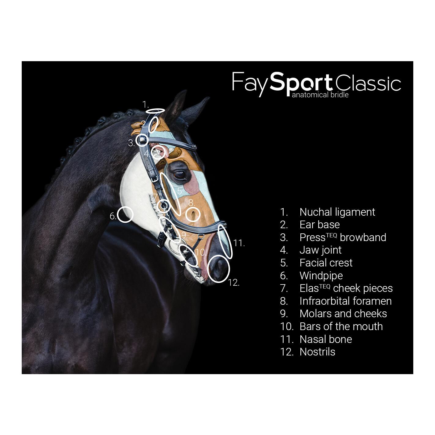 PresTeq Bridon FaySport Classic
