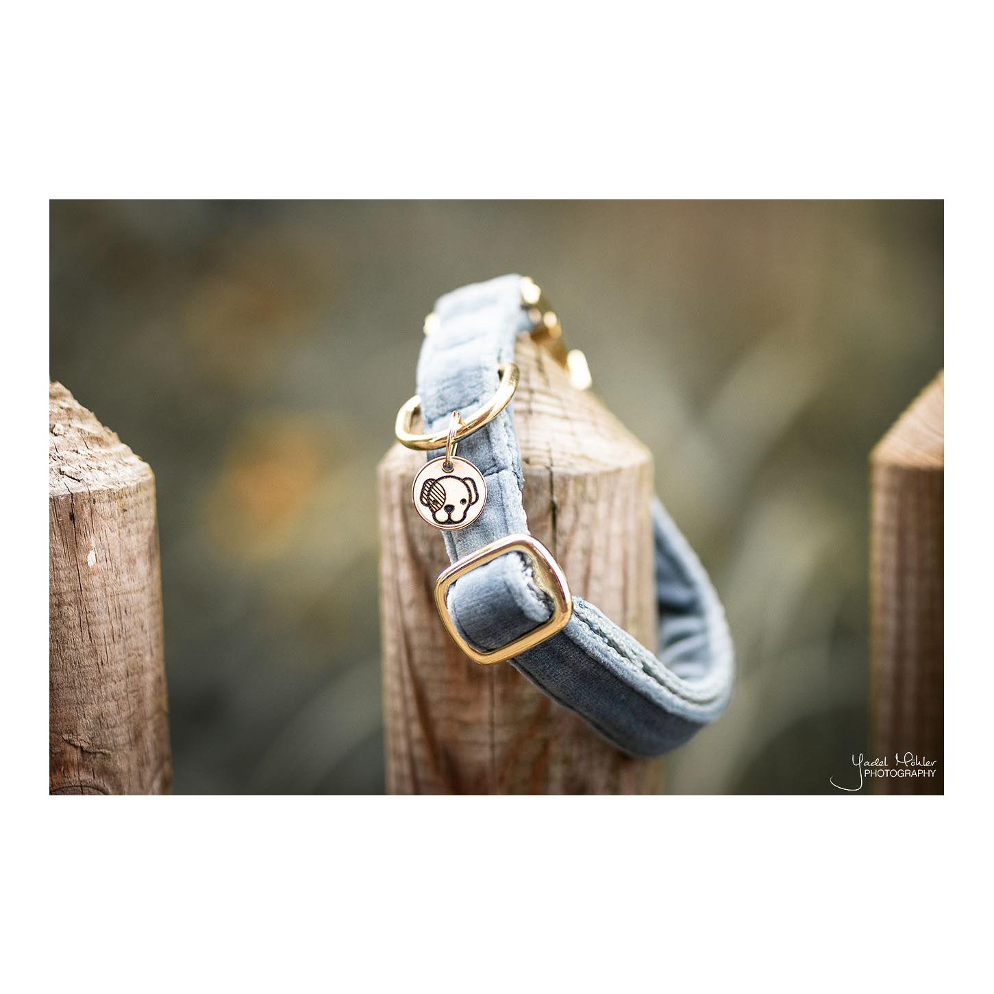 Kentucky Dogwear Collier pour chien Velvet - bleu clair