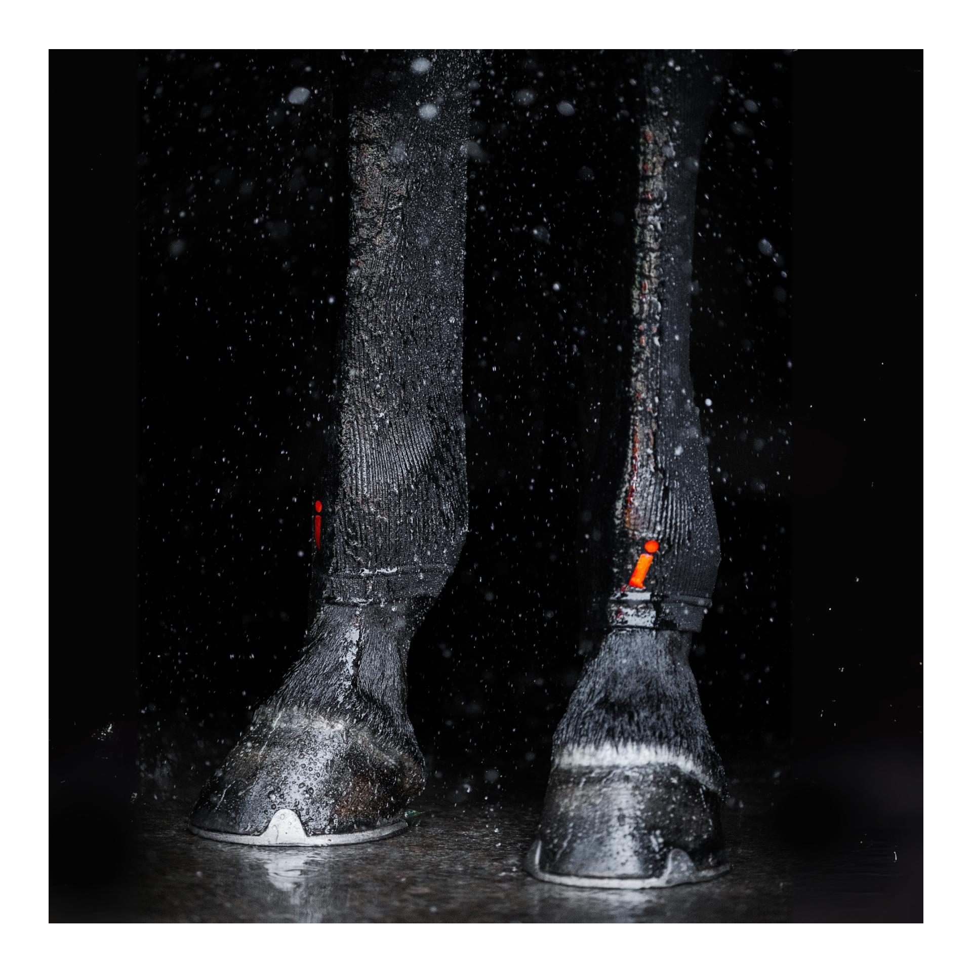 Incrediwear Equine Strümpfe Circulation lang (Paar)