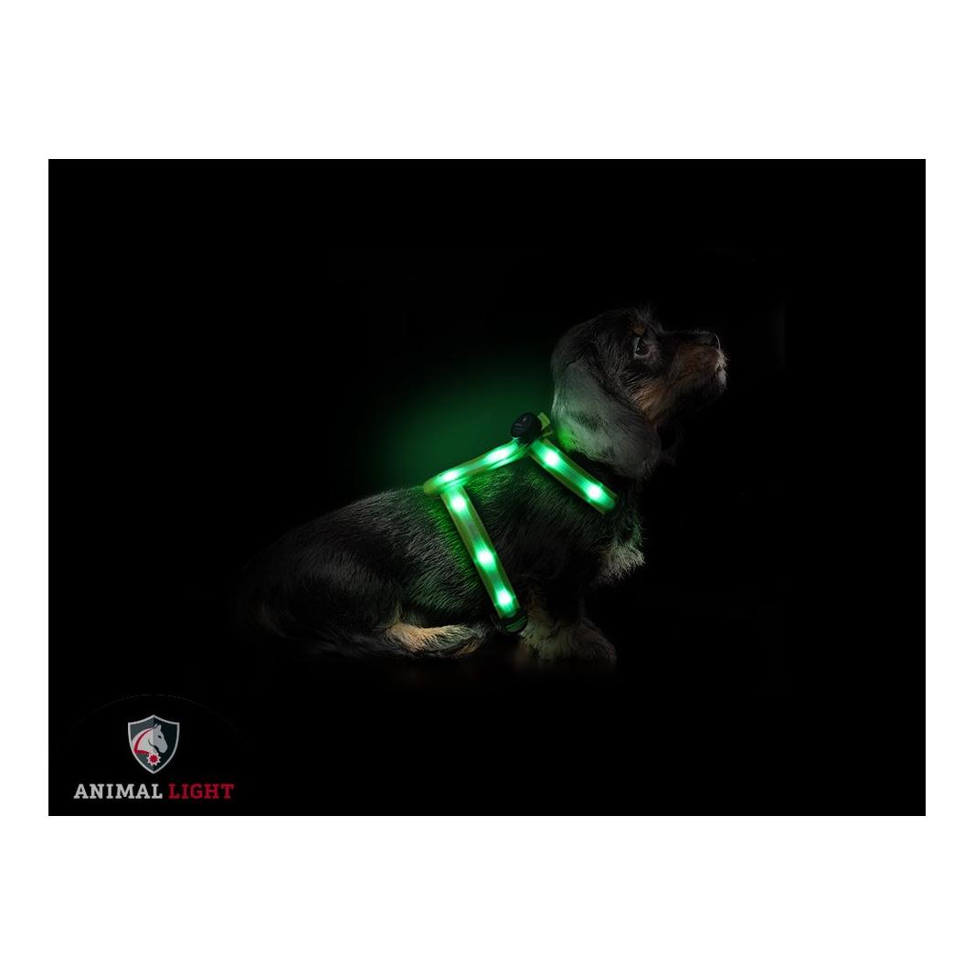Animal Light Harnais lumineux pour chien "Ninja" - vert