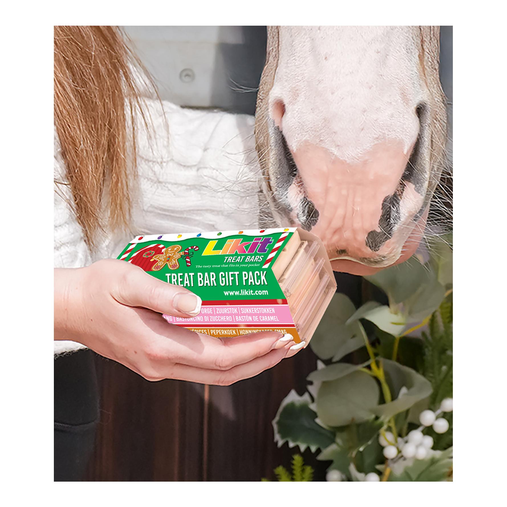 Likit Likit Treat Bar XMas Packung