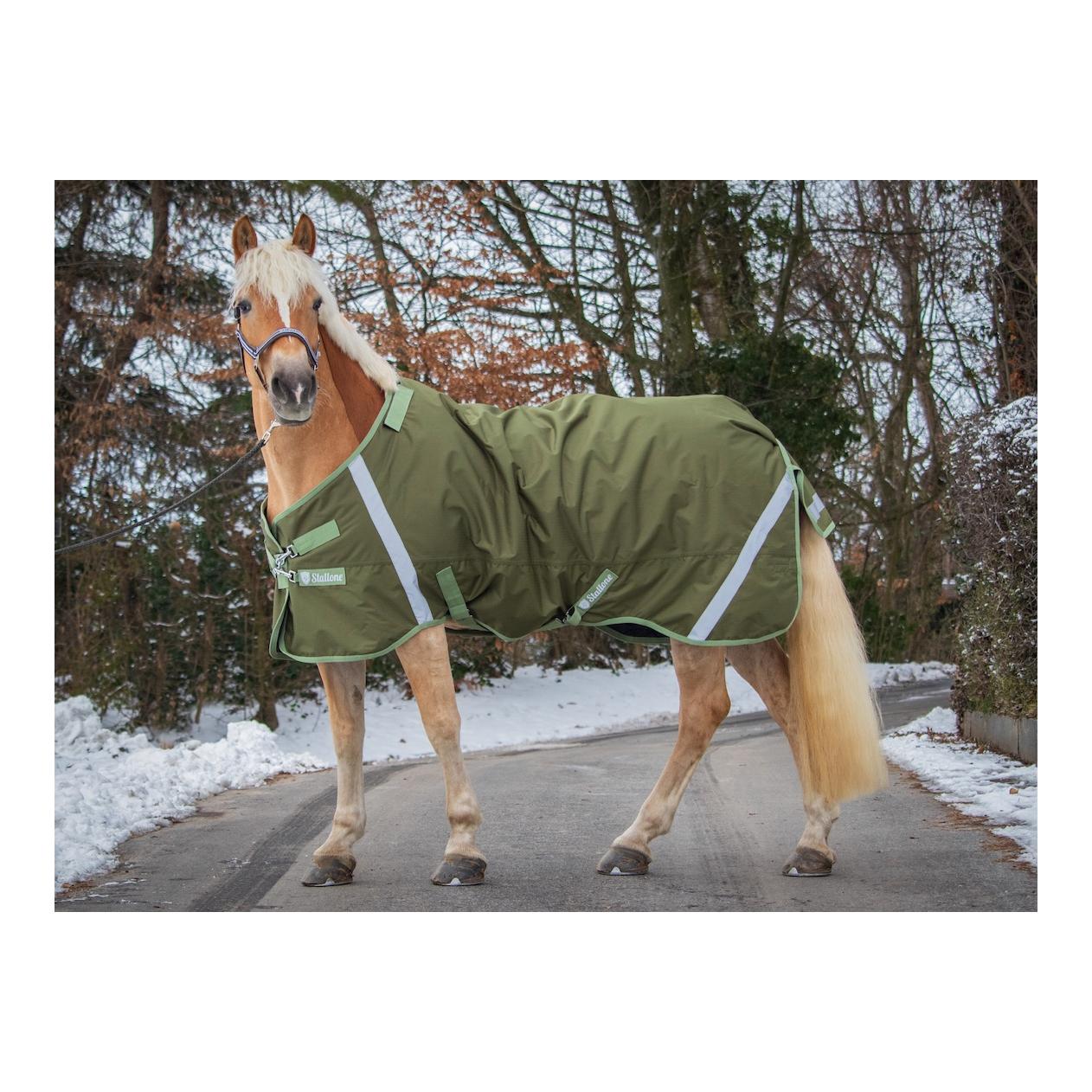 Stallone Couverture 300 g d'hiver Outdoor Guard