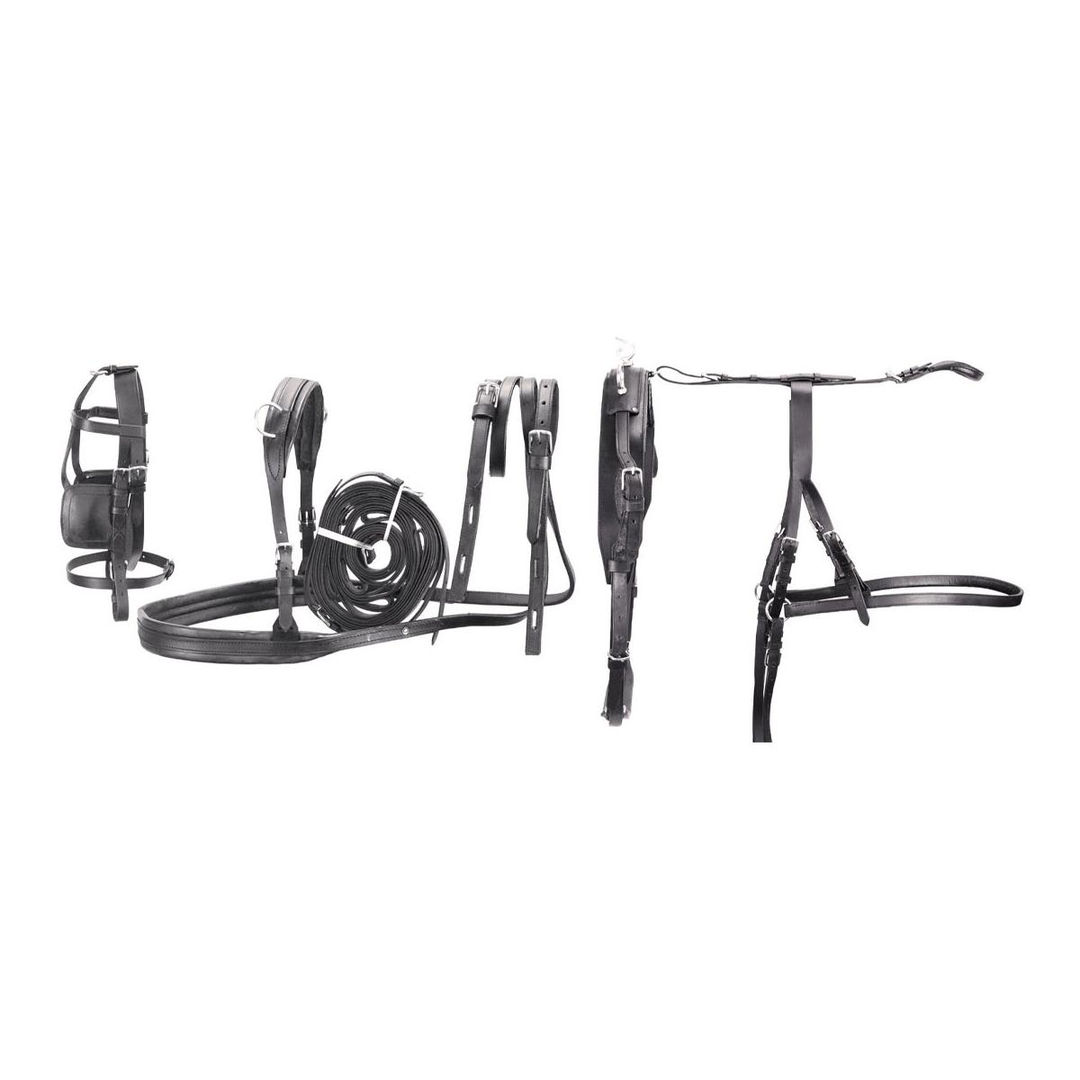 Umbria Equitazione Harnais pour attelage en cuir Basic - pour poneys