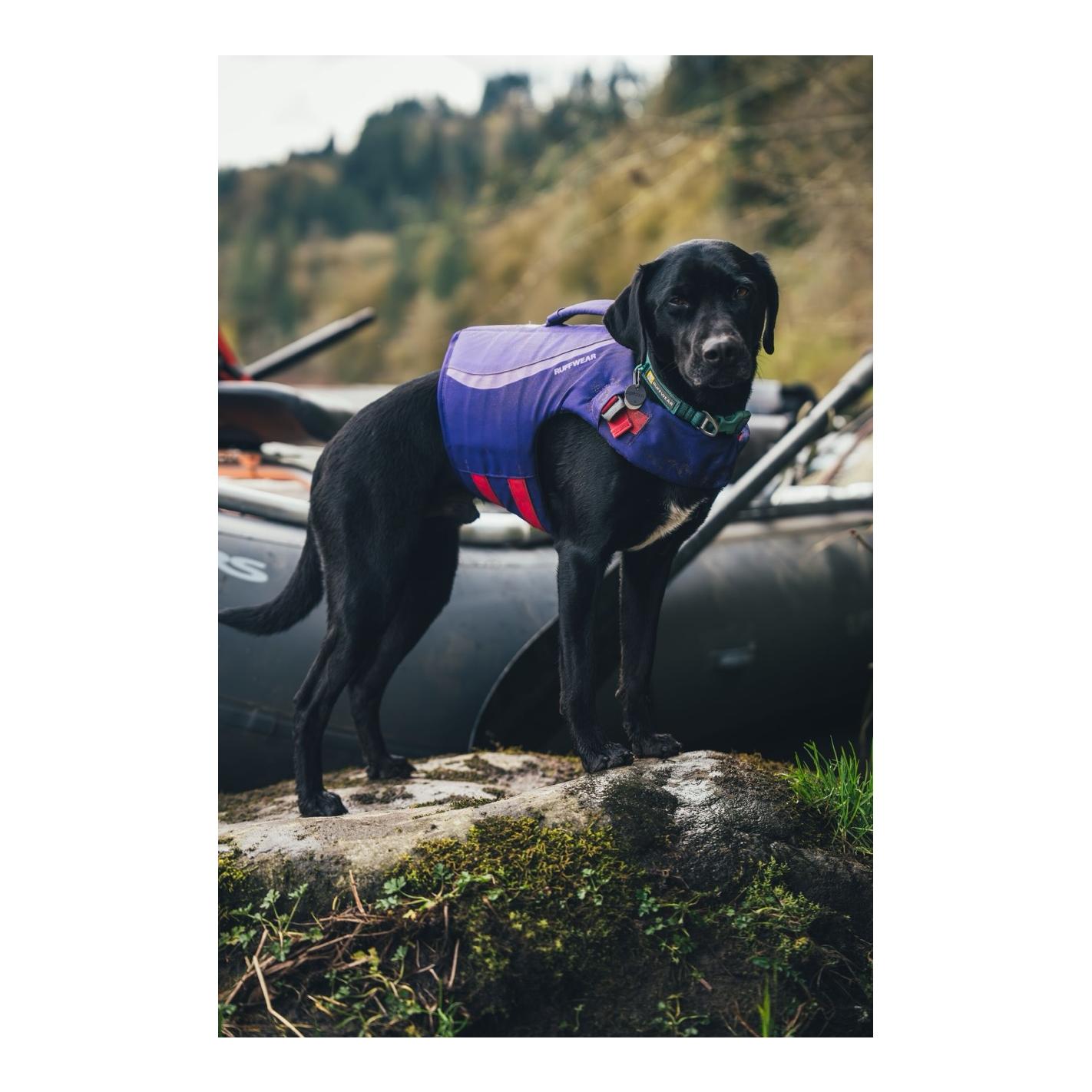 Ruffwear Gilet de sauvetage pour chiens Float Coat