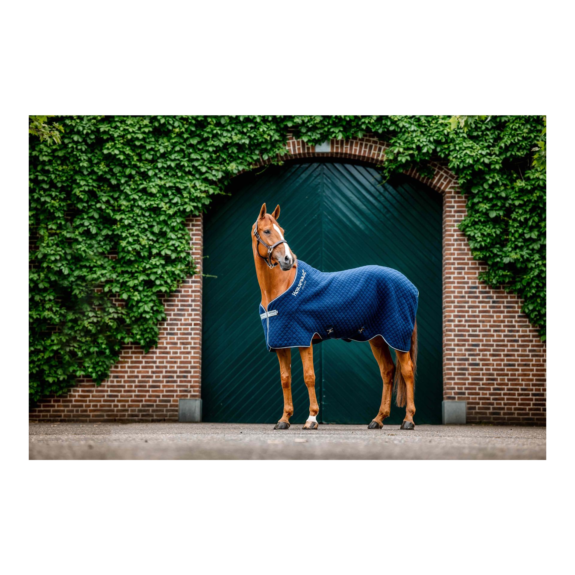 Horseware Coolerdecke Autumn Navy/Navy & Silver