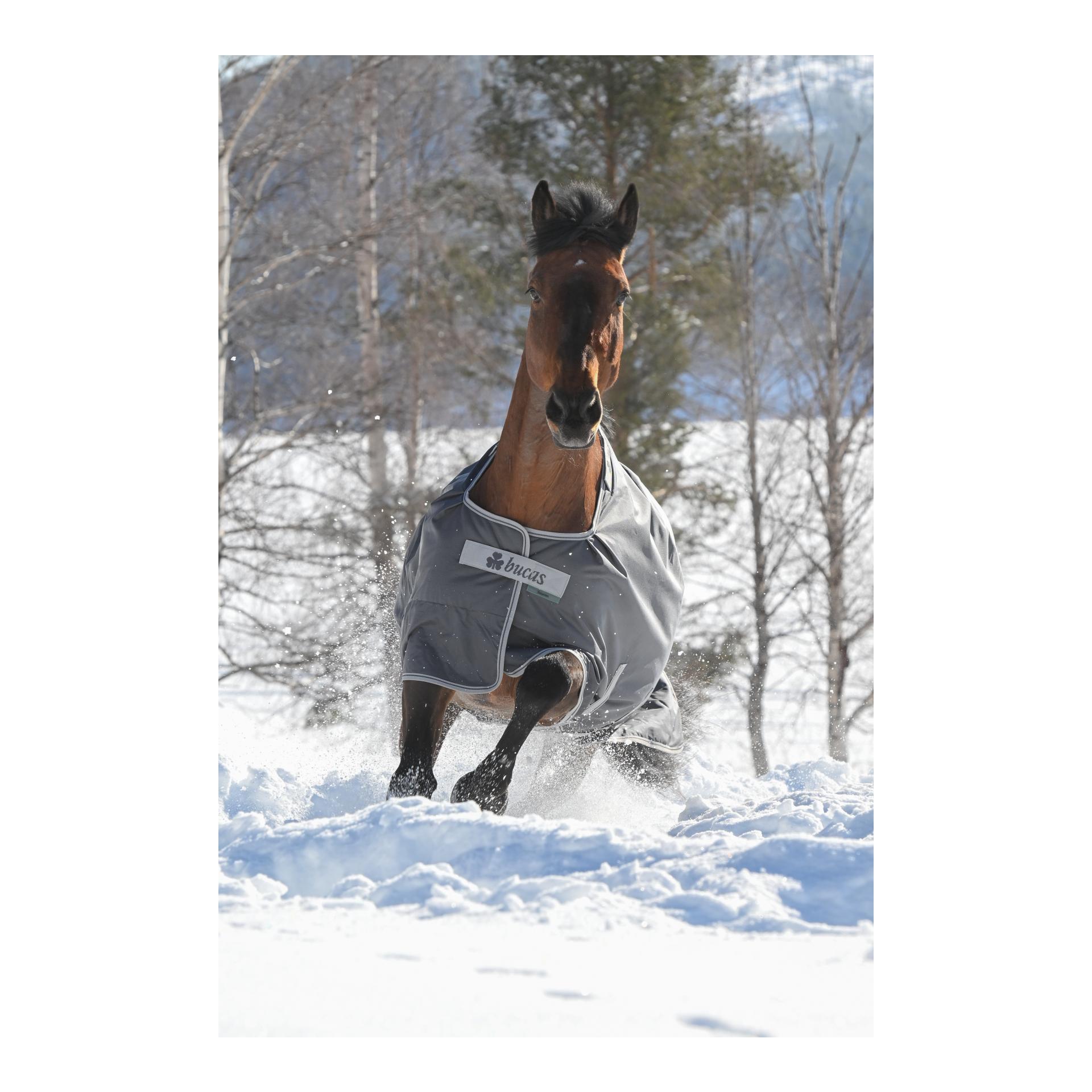 Bucas Winterdecke Smartex Extra Classic 300g - grau