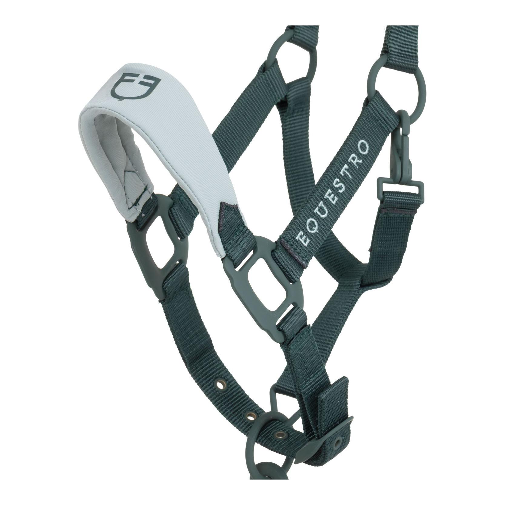 Equestro Licol avec boucles recouvertes de caoutchouc