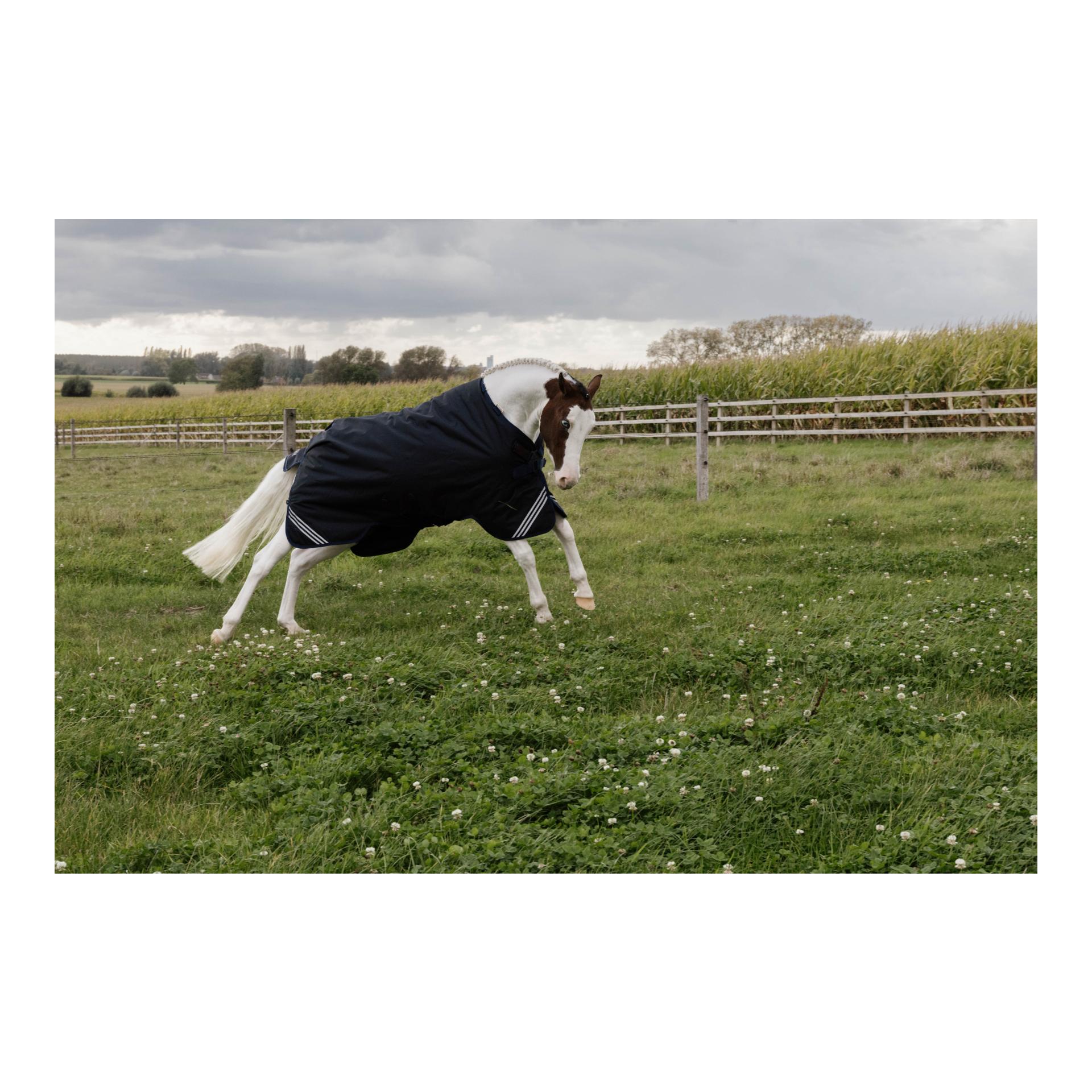 Kentucky Weidedecke all Weather waterproof Comfort 100g