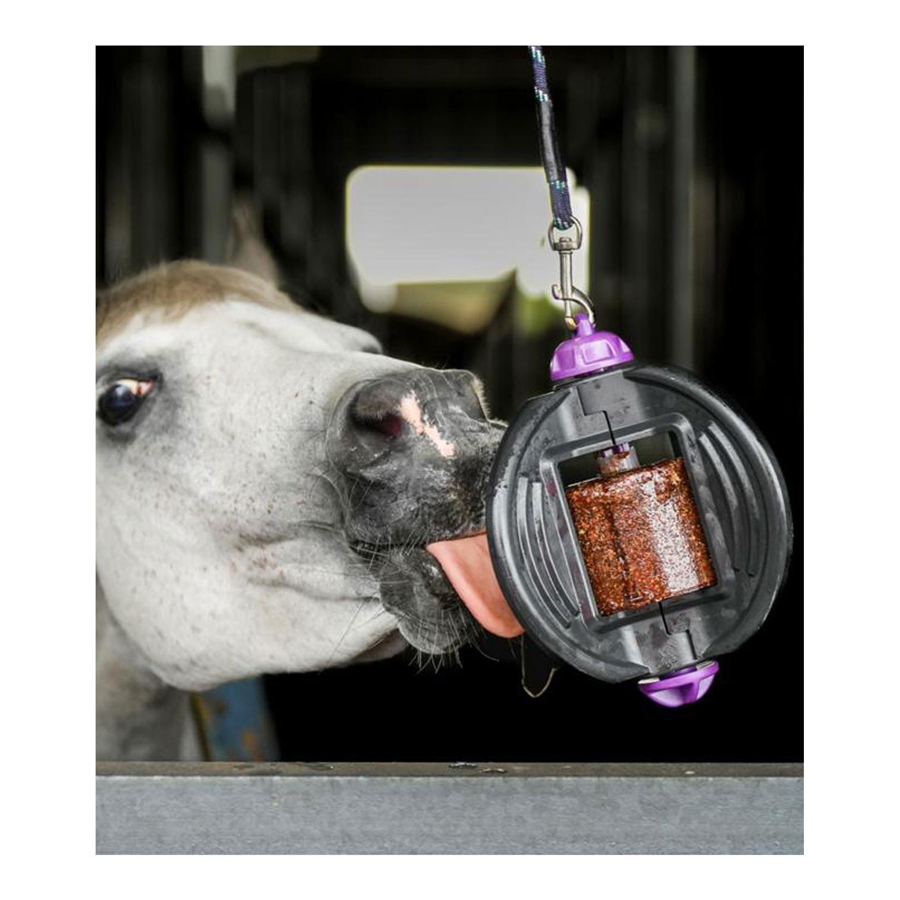 Bizzy Horse Bizzy Ball - pink