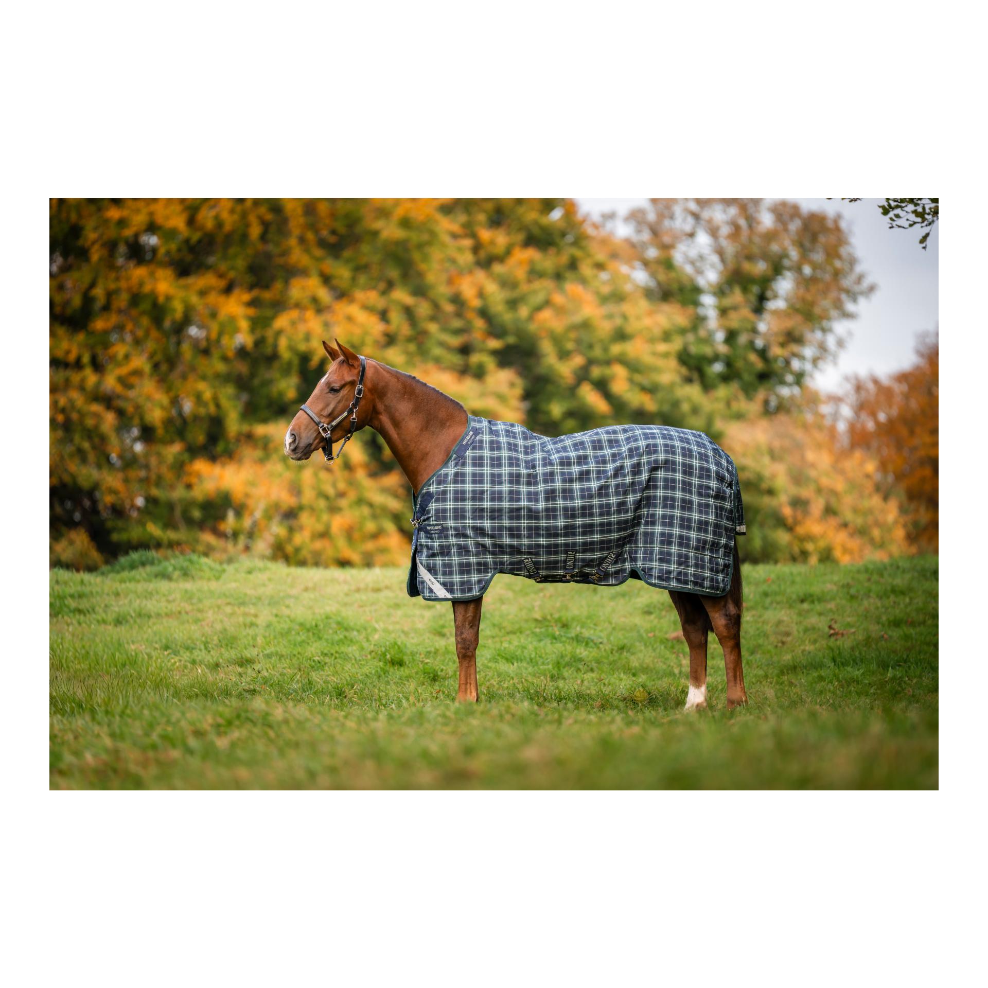 Horseware Couverture d'extérieur Rhino Turnout 0 g