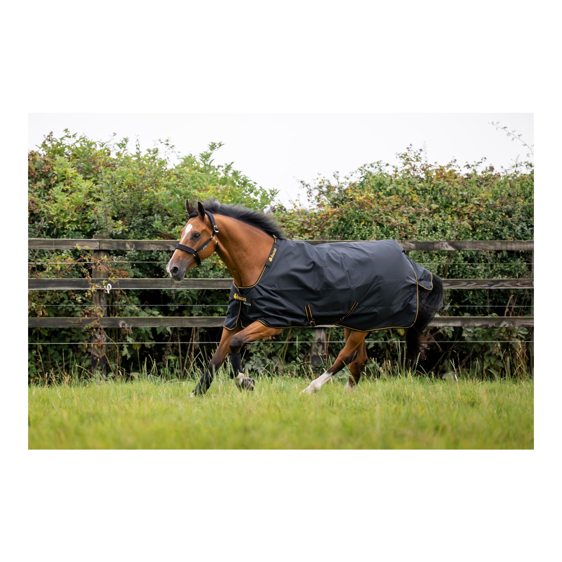 Bucas Irish Turnout Ligth Classic 50g Isolation - noir/doré