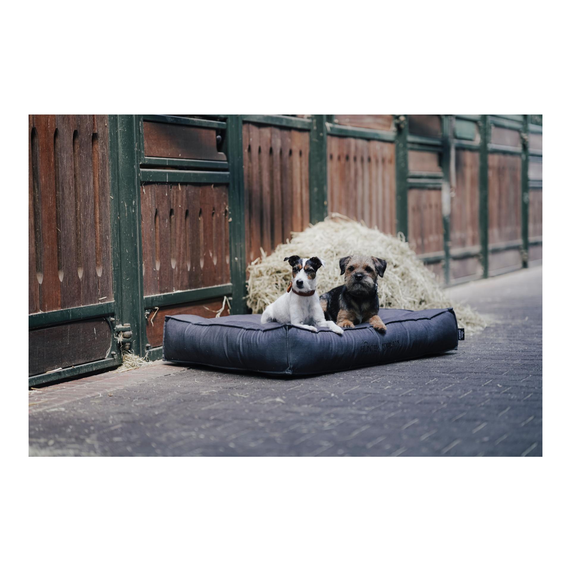 Eskadron Hundebett CHESTER