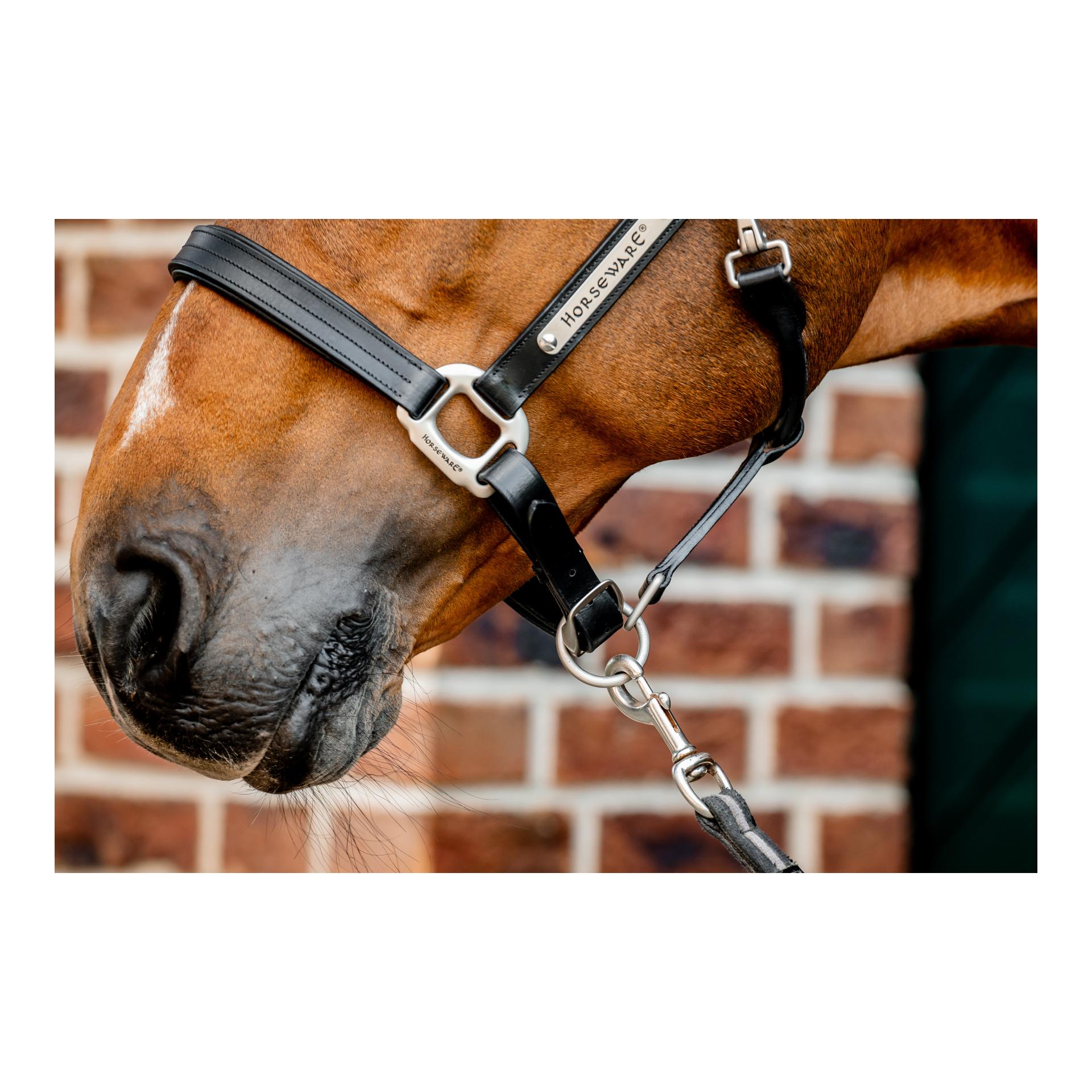 Horseware Lederhalfter Signature