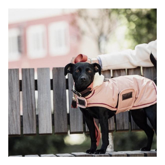 Kentucky Dogwear Manteau imperméable pour chien 160 g - Corail