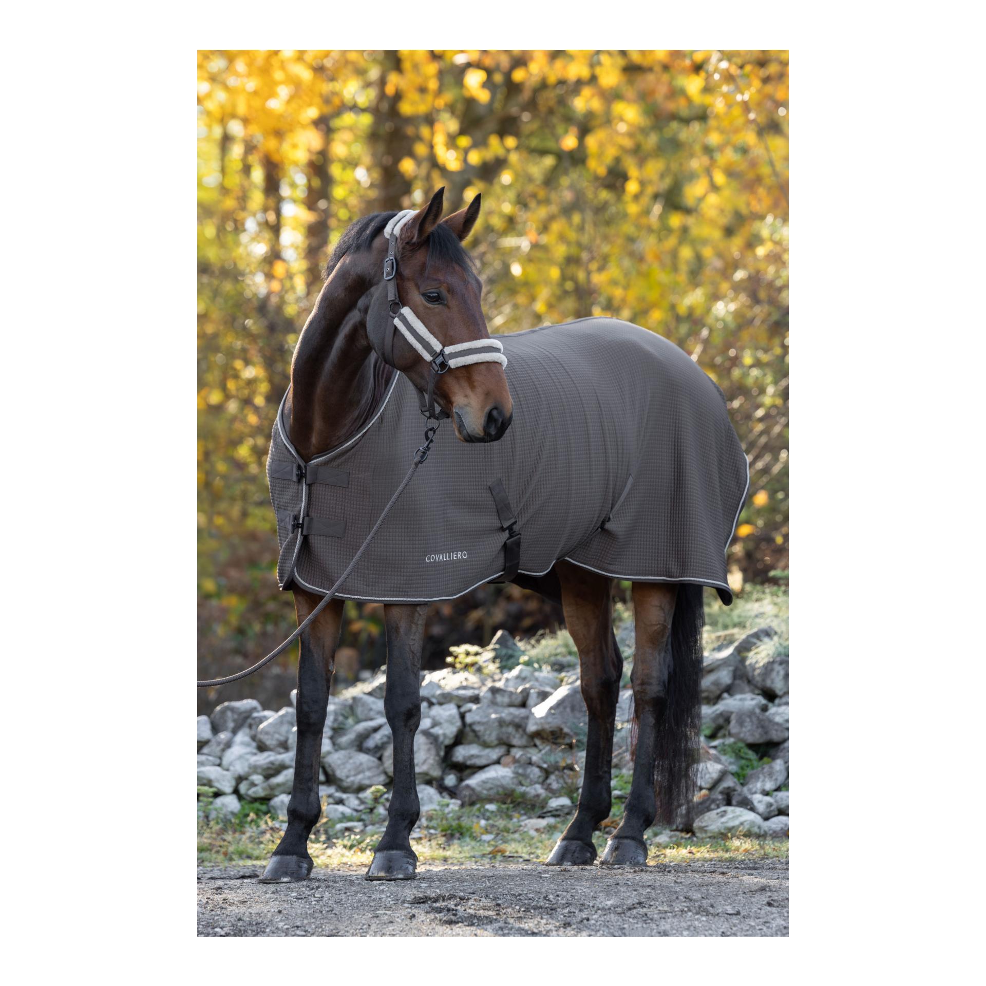 Covalliero Couverture séchante Premium A/H 2026
