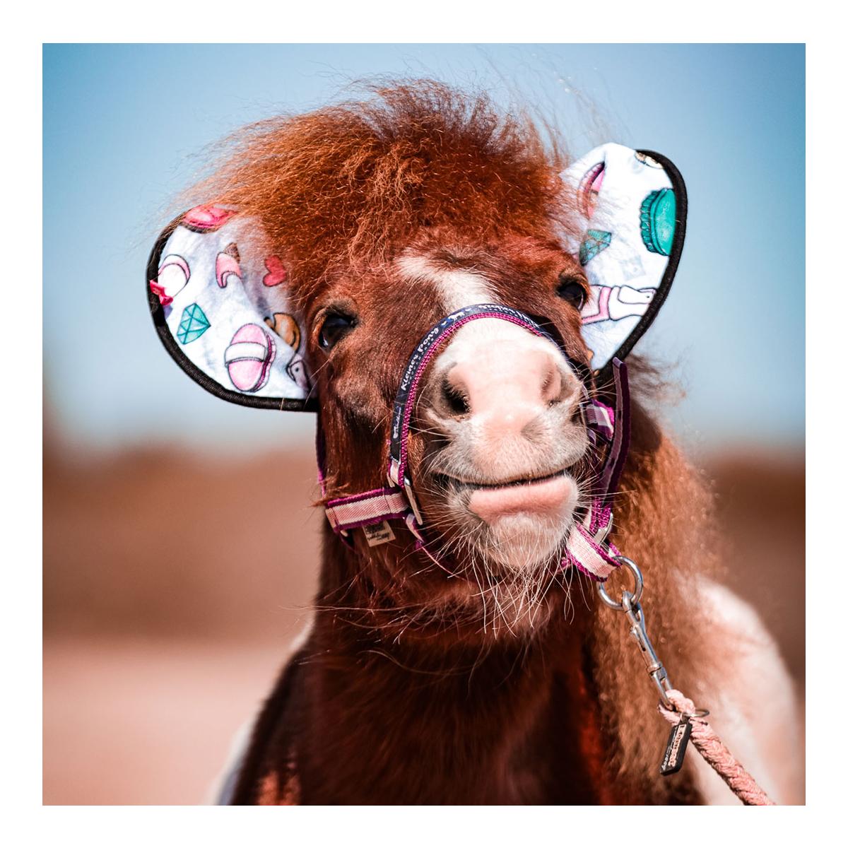 Soulhorse Chiffon de luxe | Serviette en microfibre avec intervention