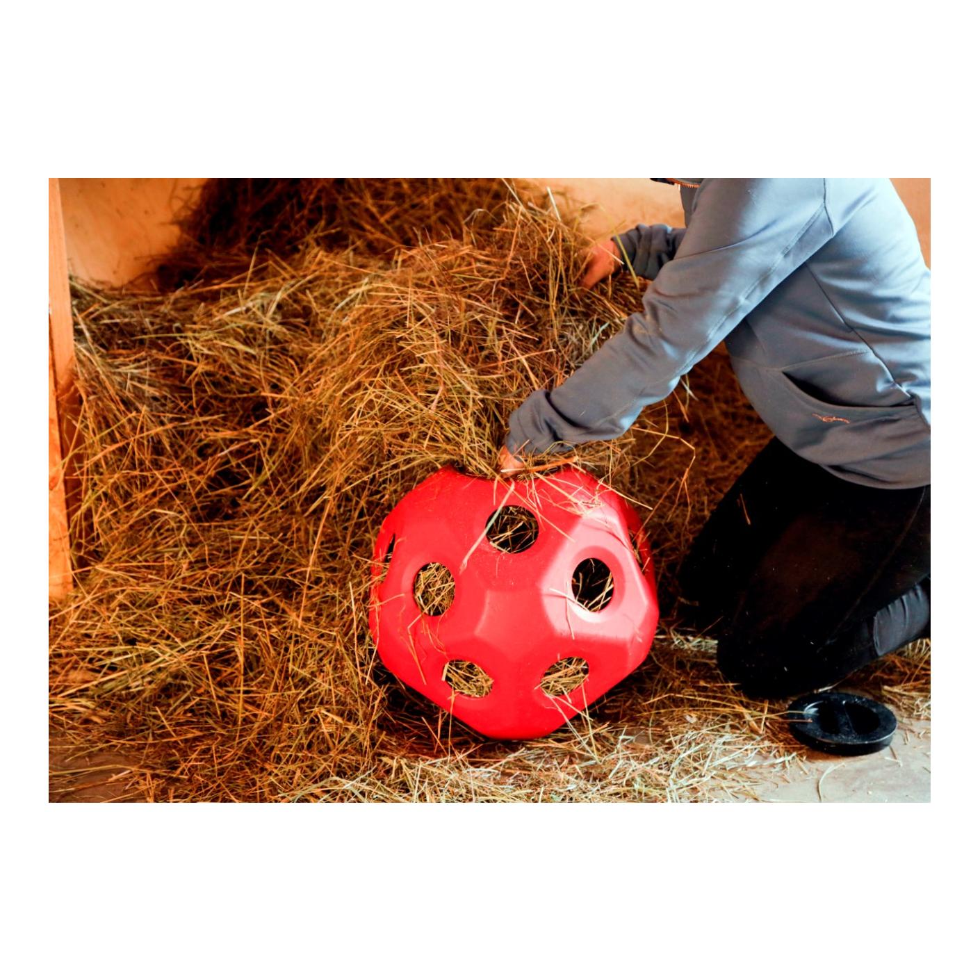 Kerbl HeuBoy Futterspielball