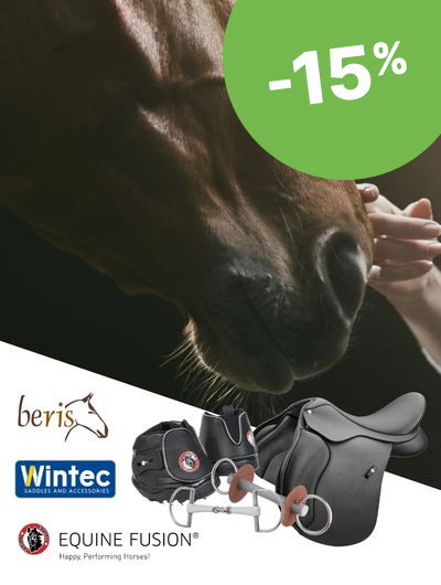 Reitsport_Beris_Wintec_Equine