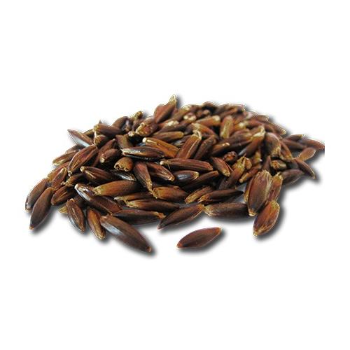 Pavo Pferdefutter Schwarzhafer