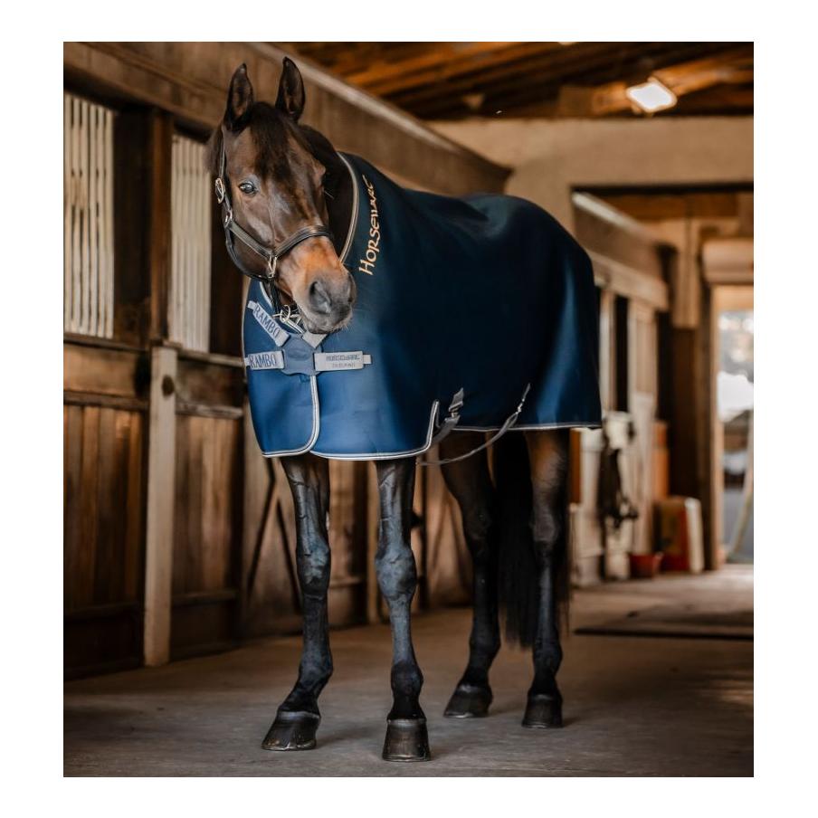 Horseware Abschwitzdecke Rambo Airmax