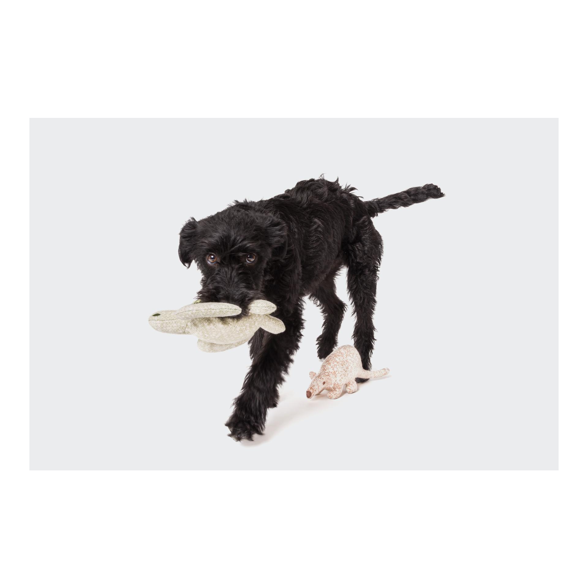 Cloud 7 Jouet pour chien Ourson Nuno