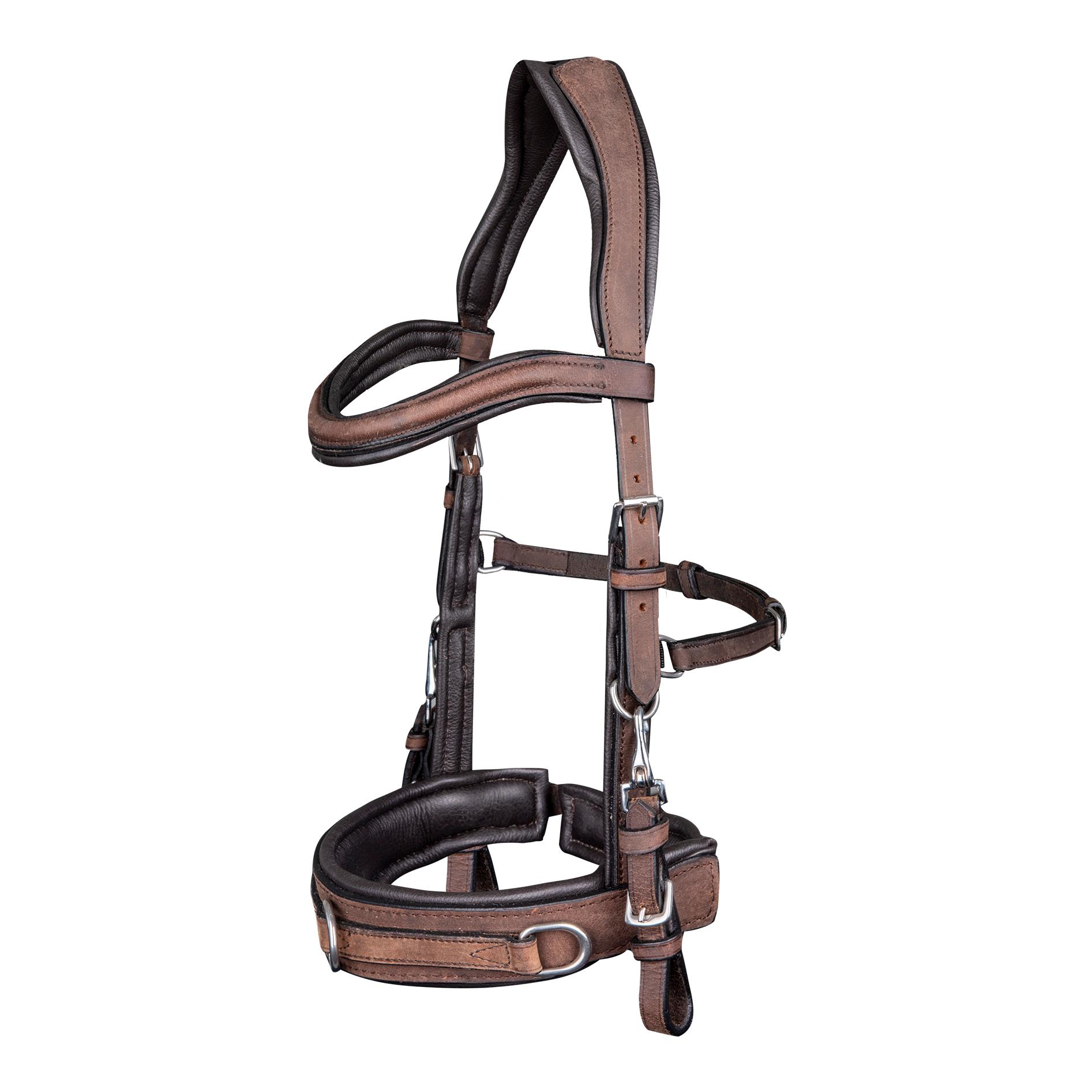 Waldhausen Lederkappzaum Anatomic