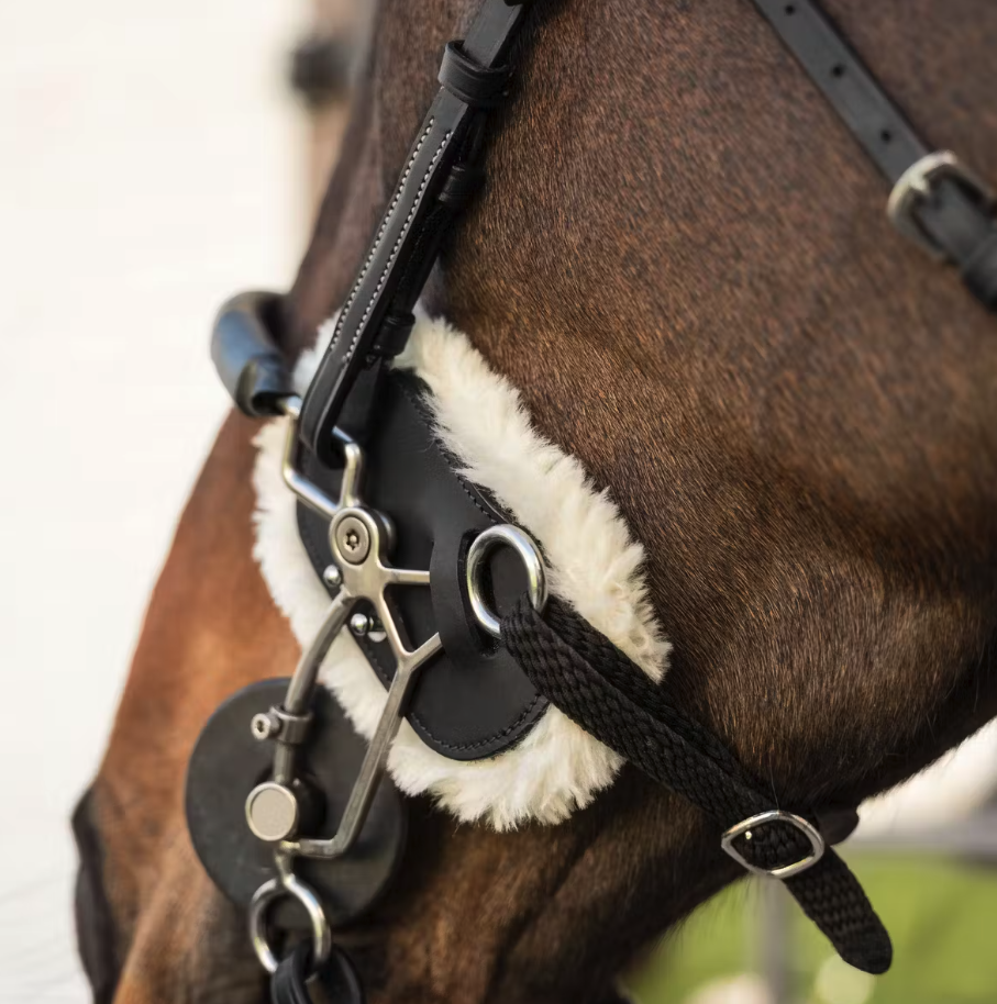 Dy'on Hackamore Schutz Lammfell