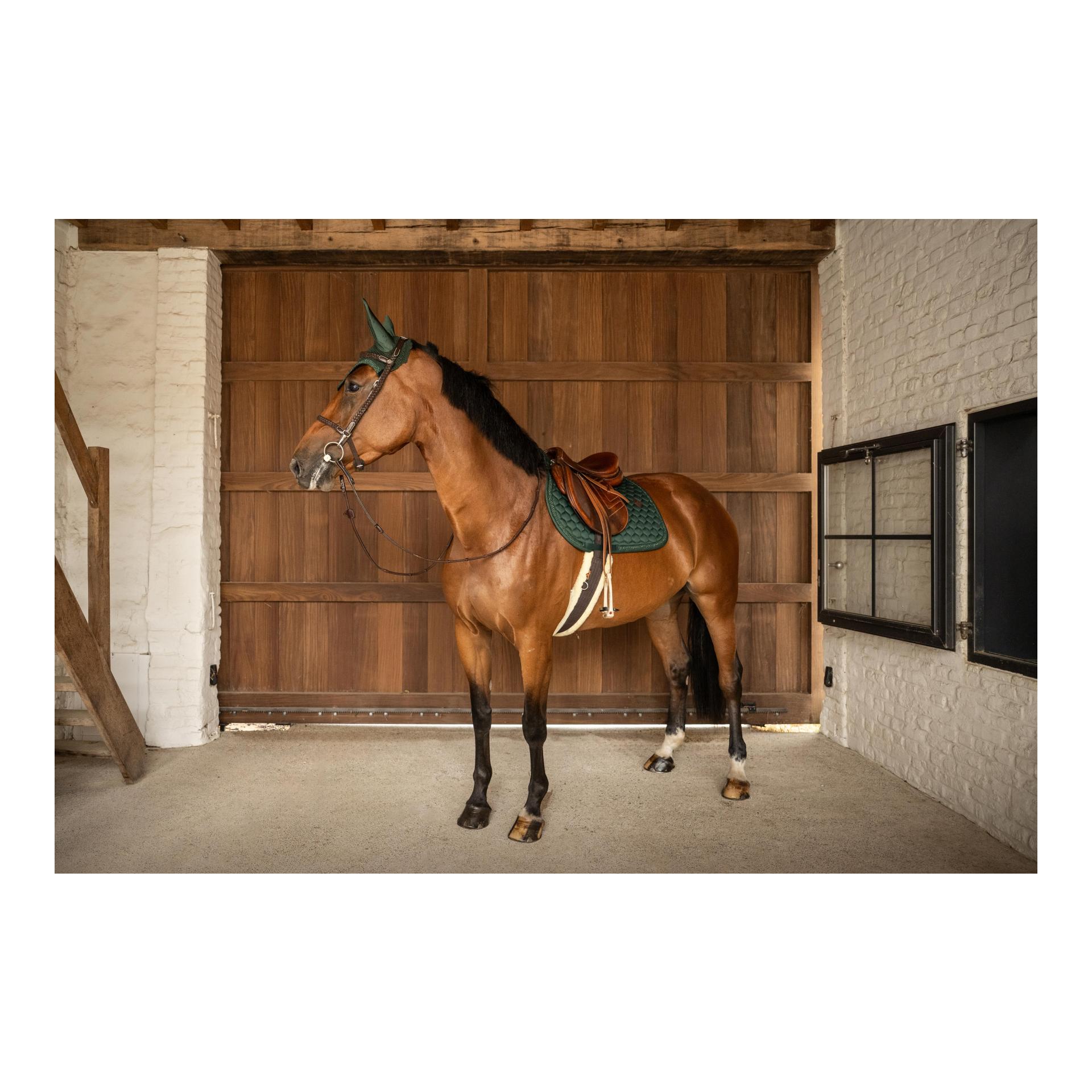 Kentucky Schabracke Classic Onion Geflochtene Glitzerkordel