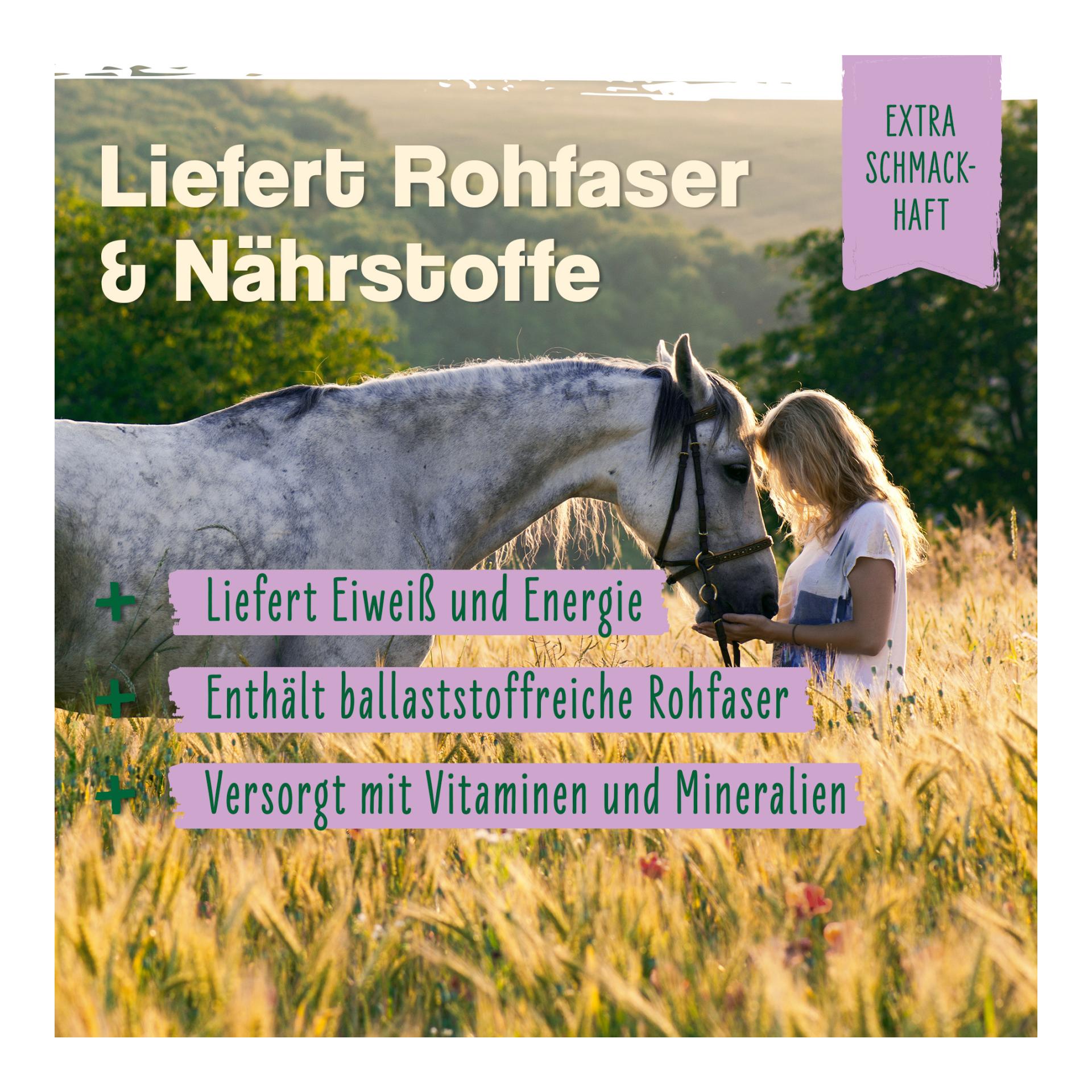 IdaPlus Bierhefe Bt - Futterergänzung für glänzendes Fell & kräftige Haut