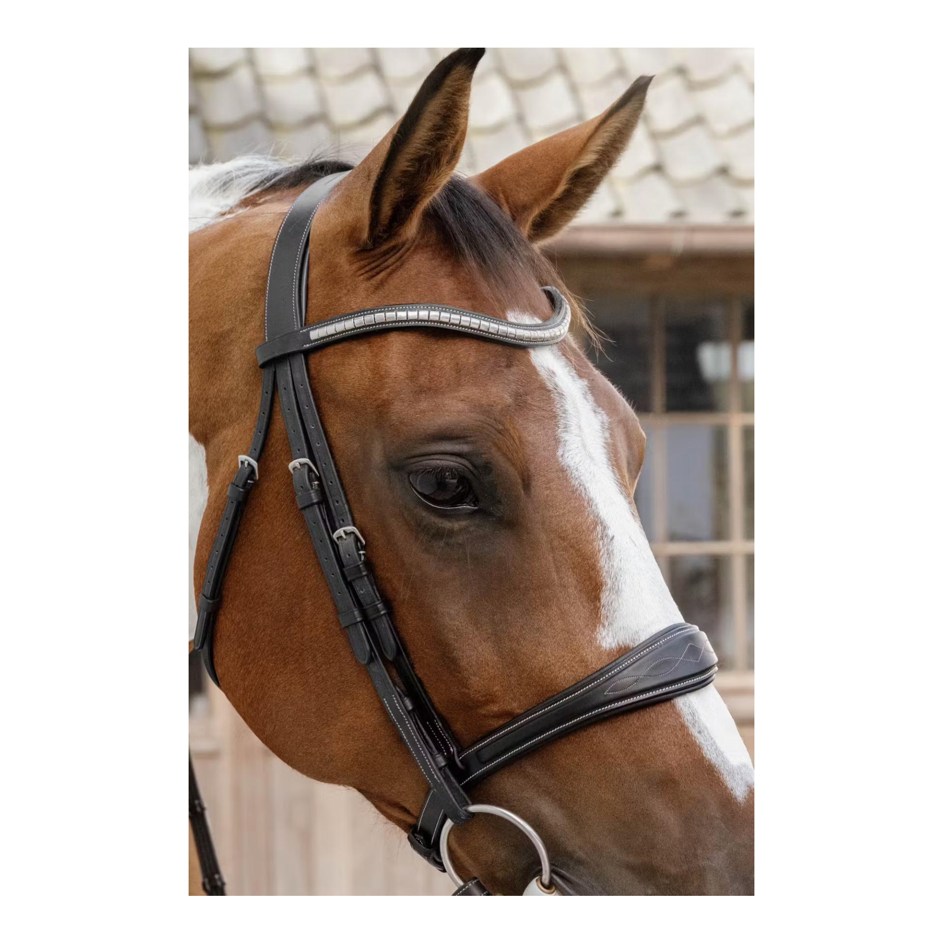 Dy'on Anatomic noseband without flash Jumping