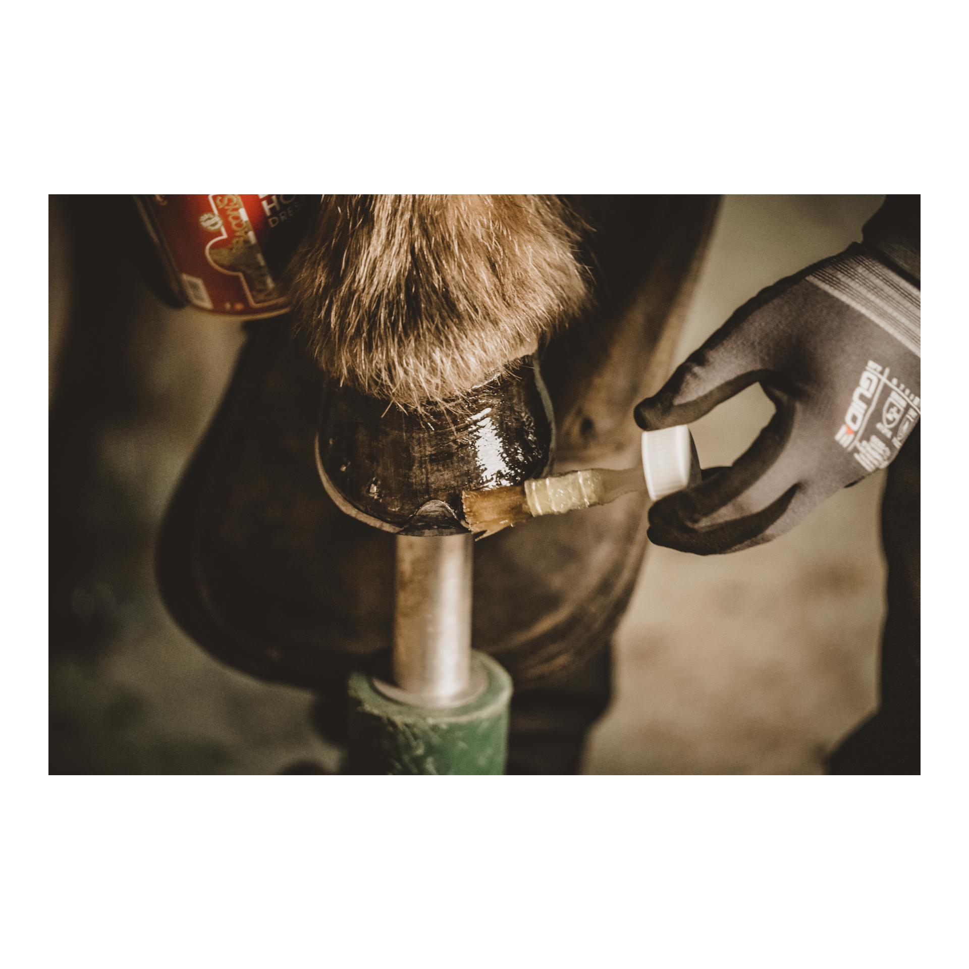 Kevin Bacons Hoofdressing Liquid
