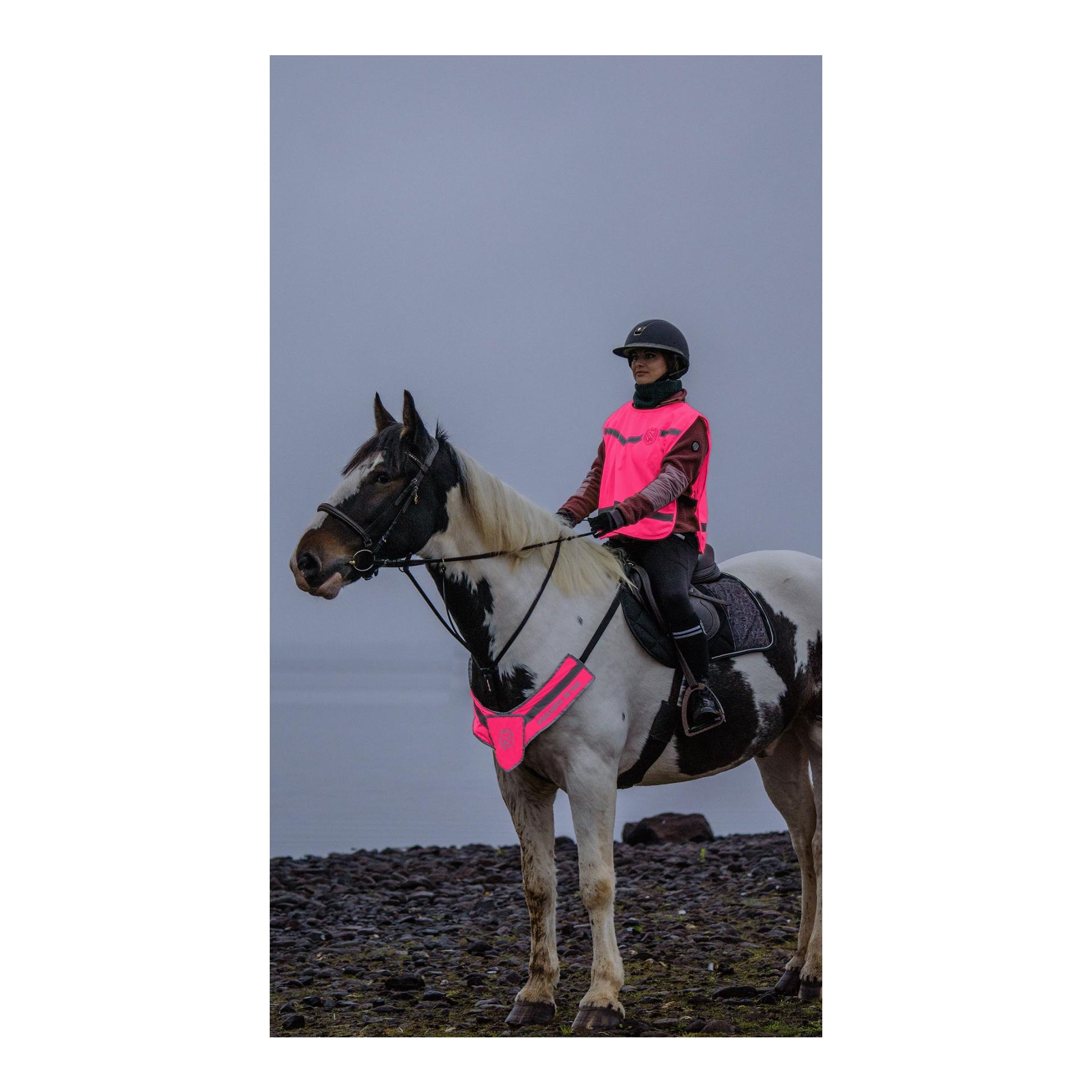 Soulhorse Kit d'éclairage avant