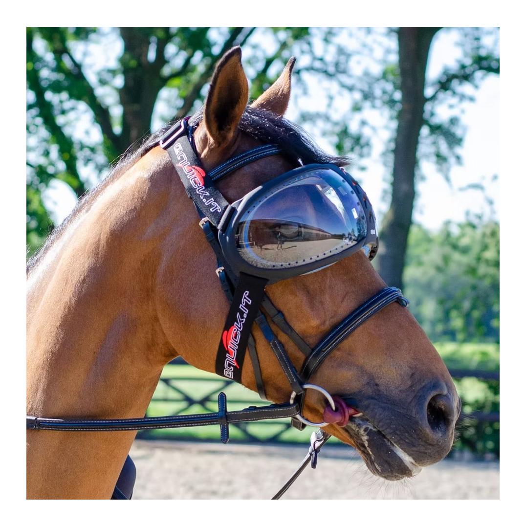 eQuick eVysor : protection oculaire pour chevaux avec protection anti-UV
