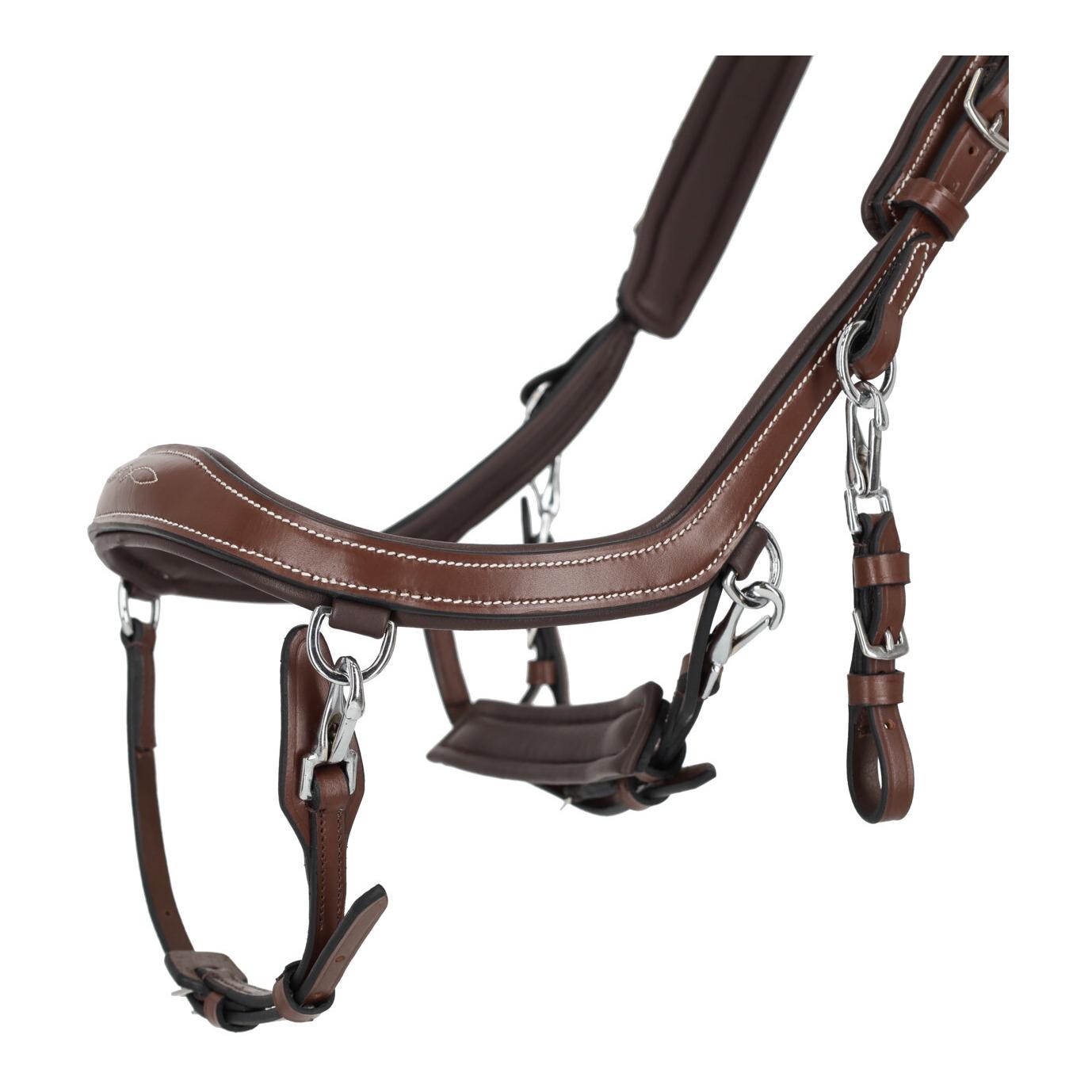 PresTeq Bridon FaySport Classic