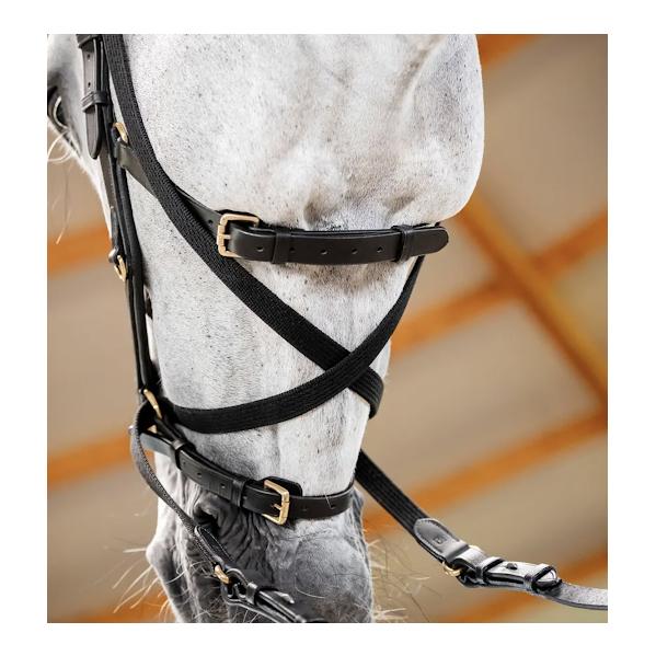 Horseware Zaum Micklem Multi