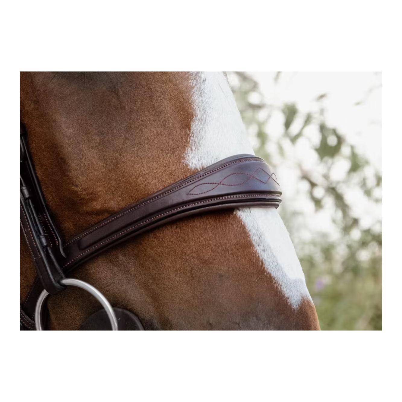 Dy'on Anatomic noseband without flash