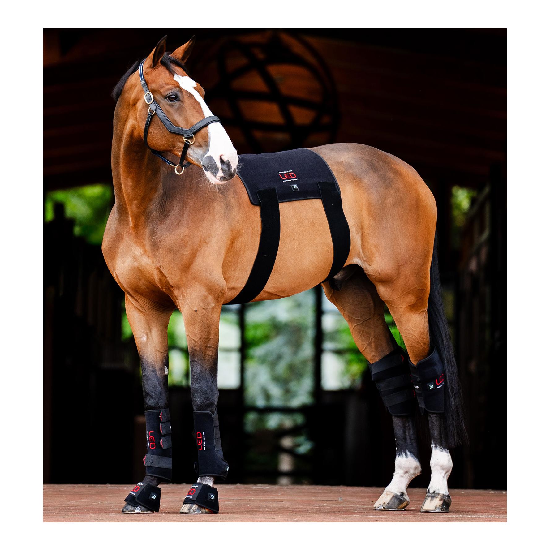 Horseware Therapie Gamasche LED LED-Rotlicht - Full