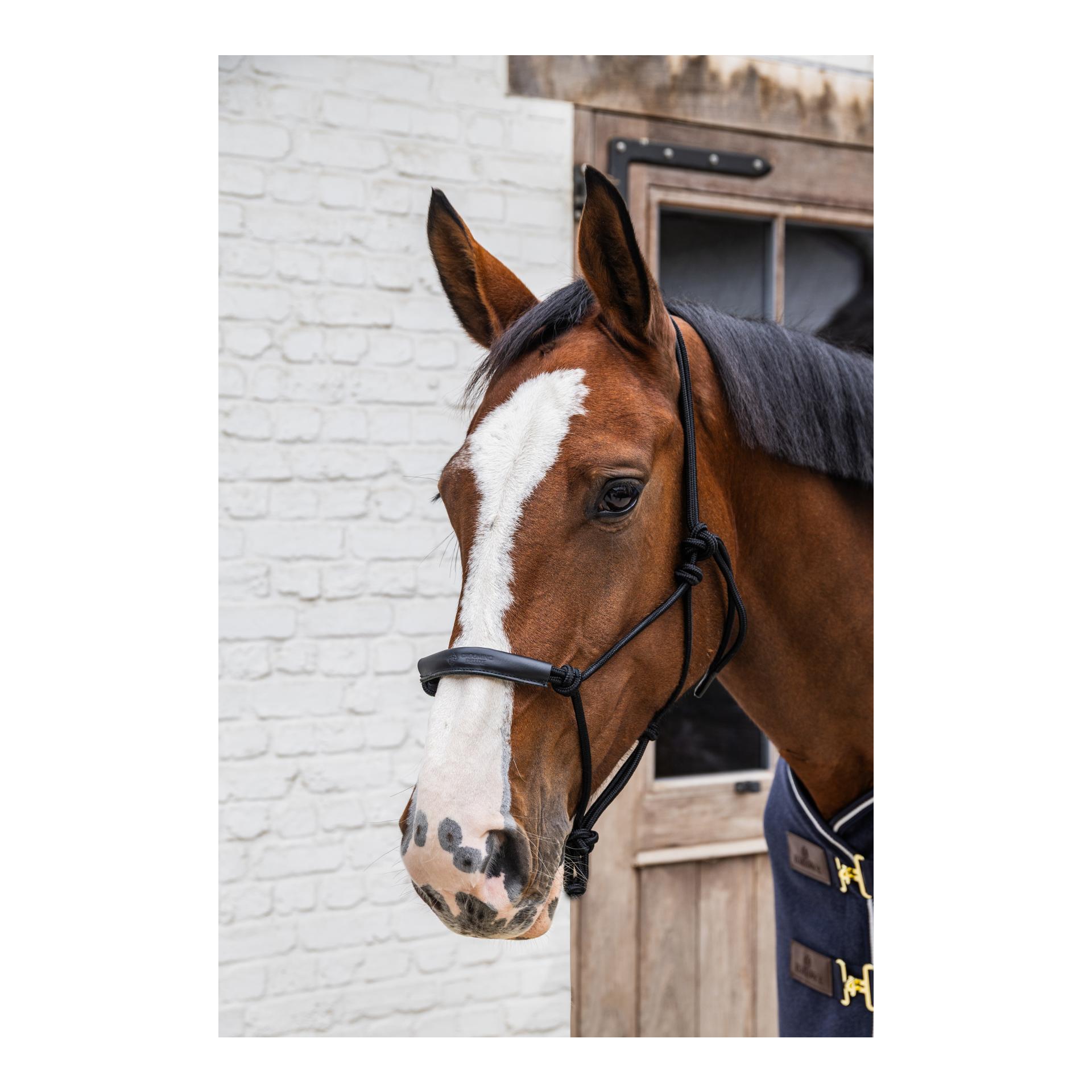 Grooming Deluxe Knotenhalfter