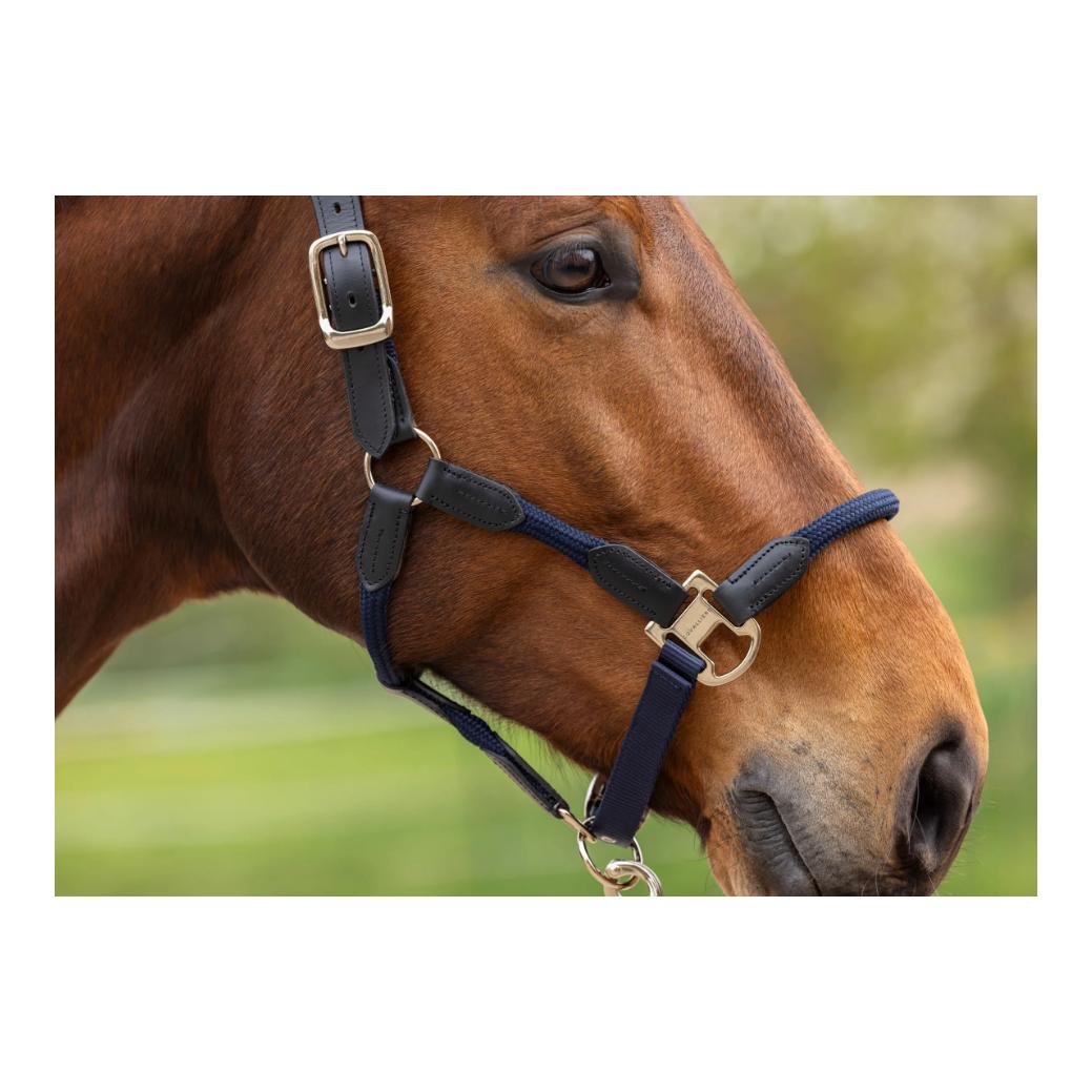 Covalliero Licol Cordano Deluxe P/E 2026