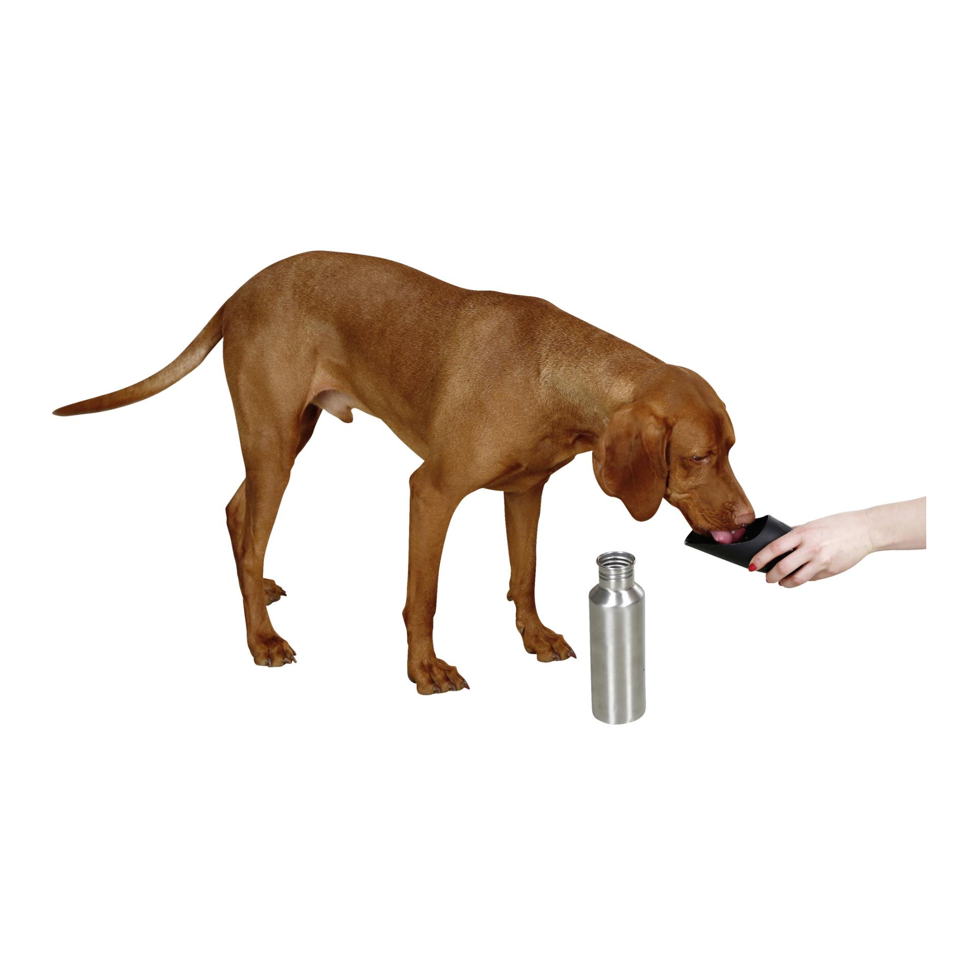 Kerbl Pet Edelstahl Reisetrinkflasche inkl. Trinknapf- 750 ml